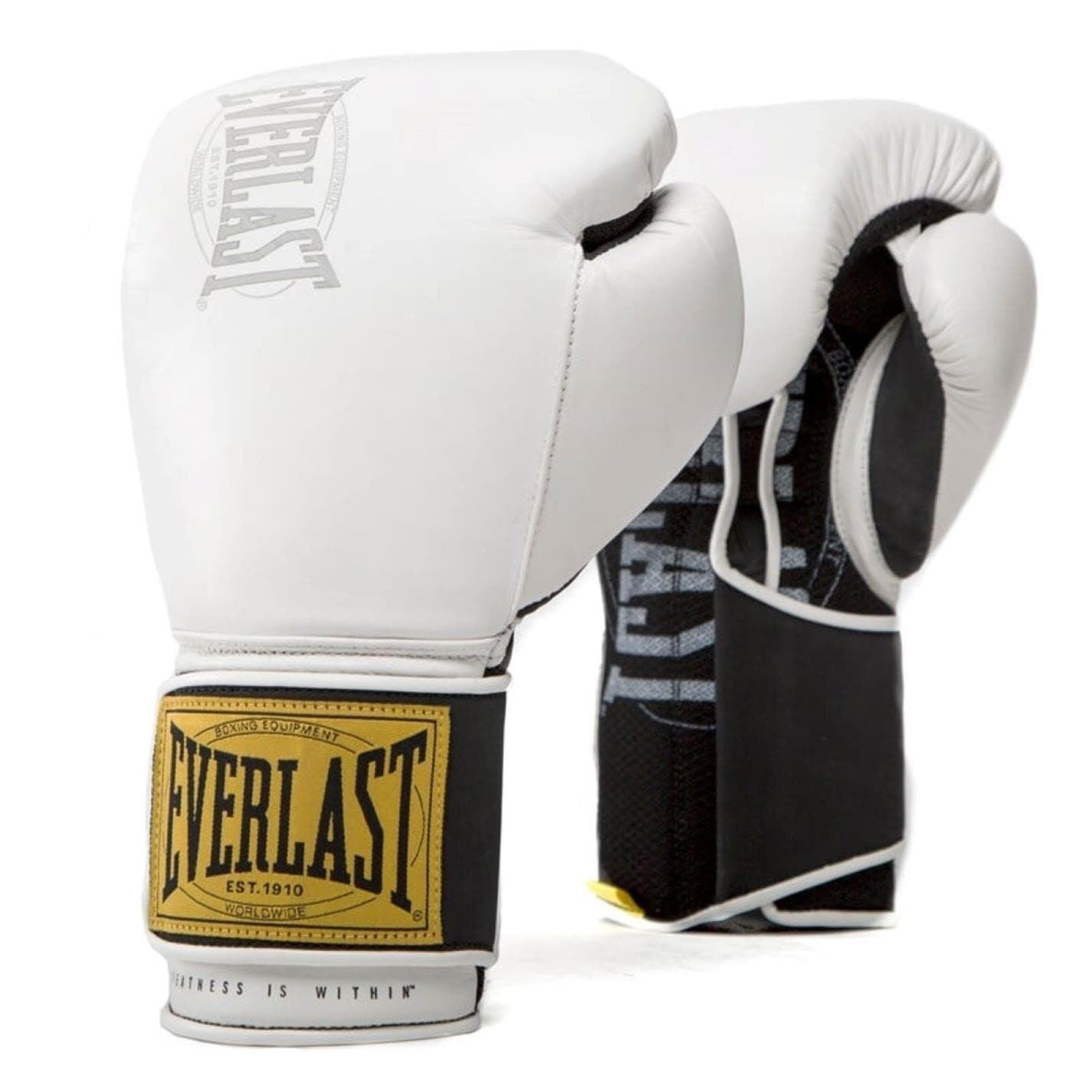 Everlast 1910 Classic Training Glove – Lovell Sports