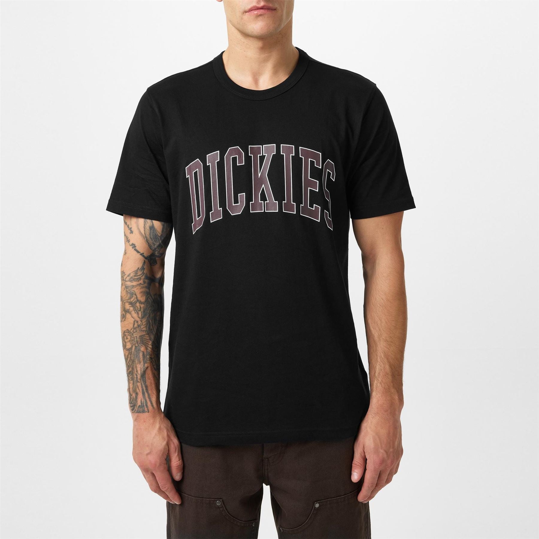 Dickies Aitkin Tee