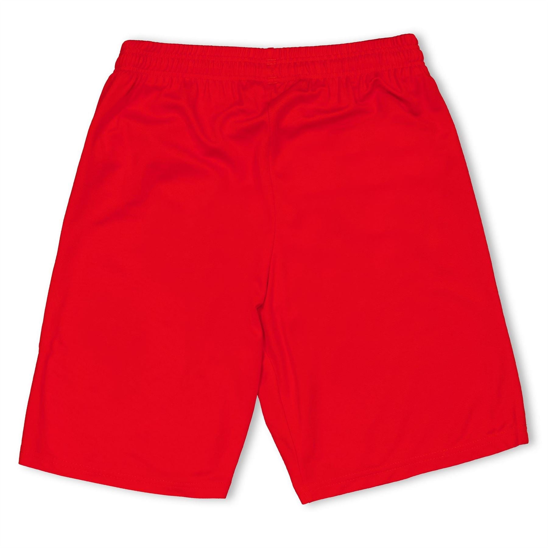 Puma Fb Team Shorts With Brief Juniors