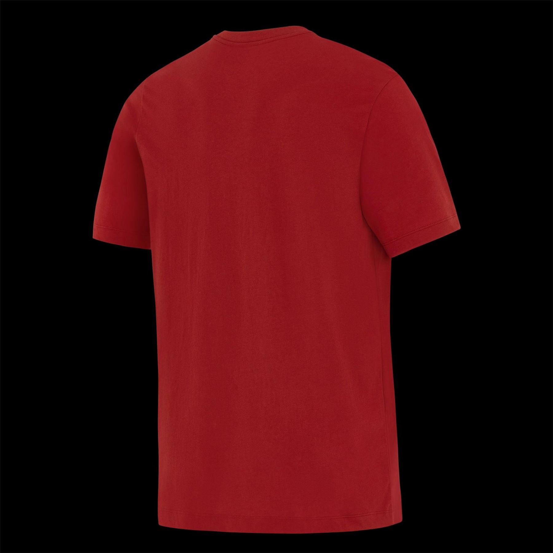 Nike British And Irish Lions Short Sleeve Performance T-Shirt