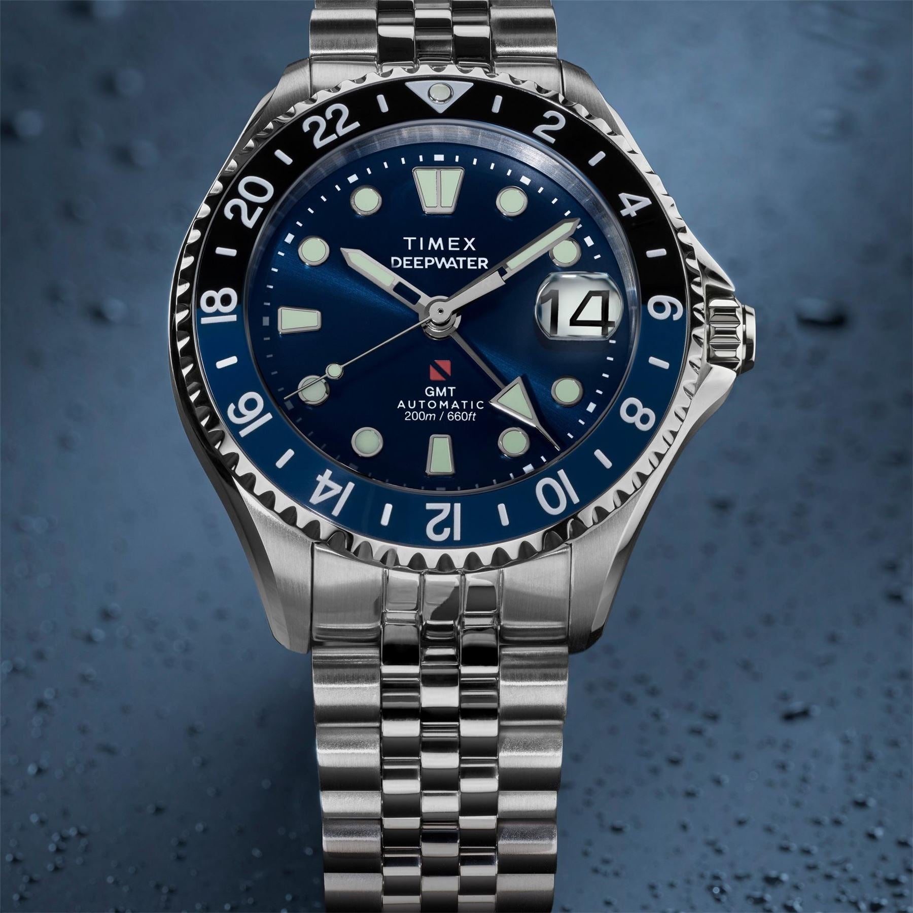 Timex Meridian Quartz Analogue Watch