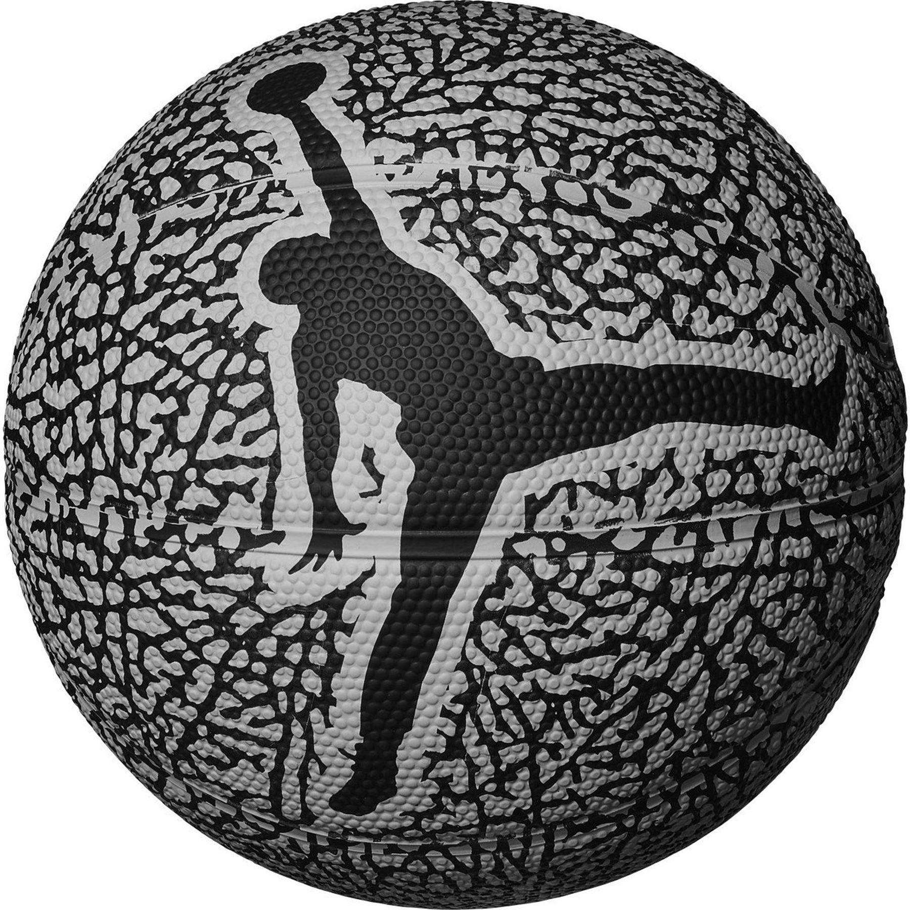 Air Jordan Mini Graphic Skills Basketball