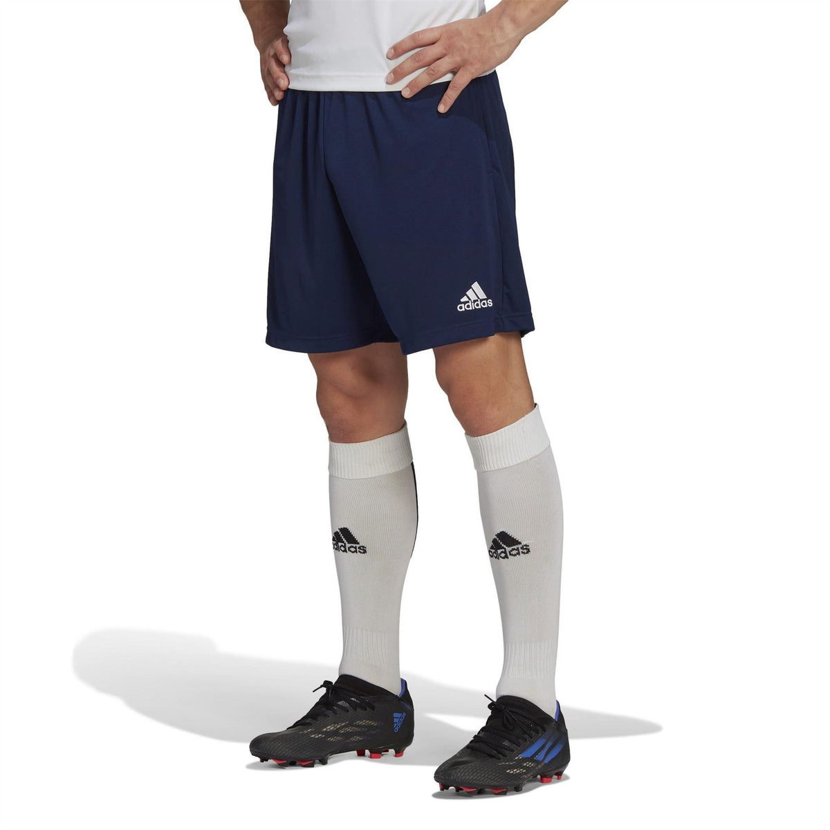 adidas Mens Entrada 22 Training Shorts