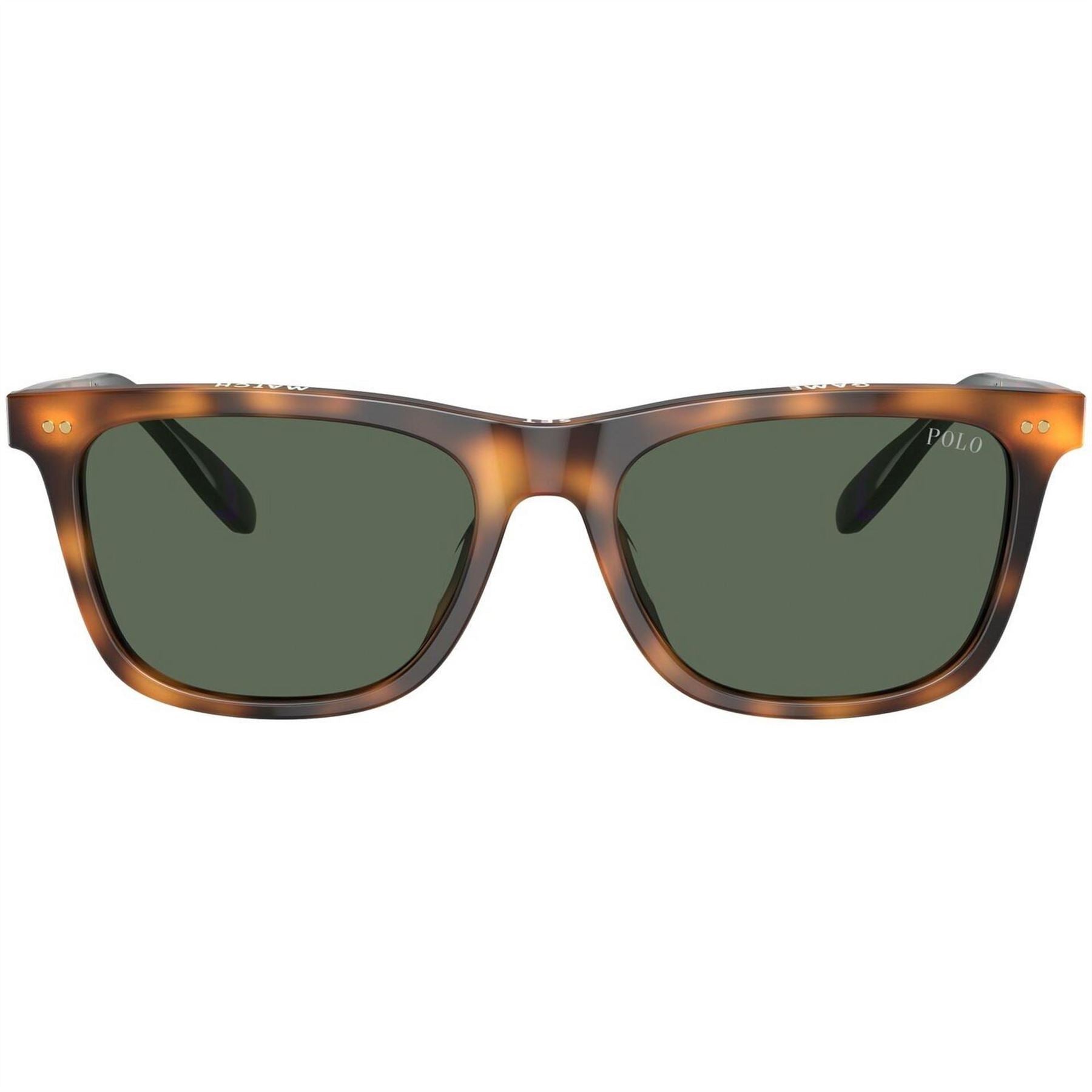 Polo Ralph Lauren 0ph4205u Wayfarer Sunglasses