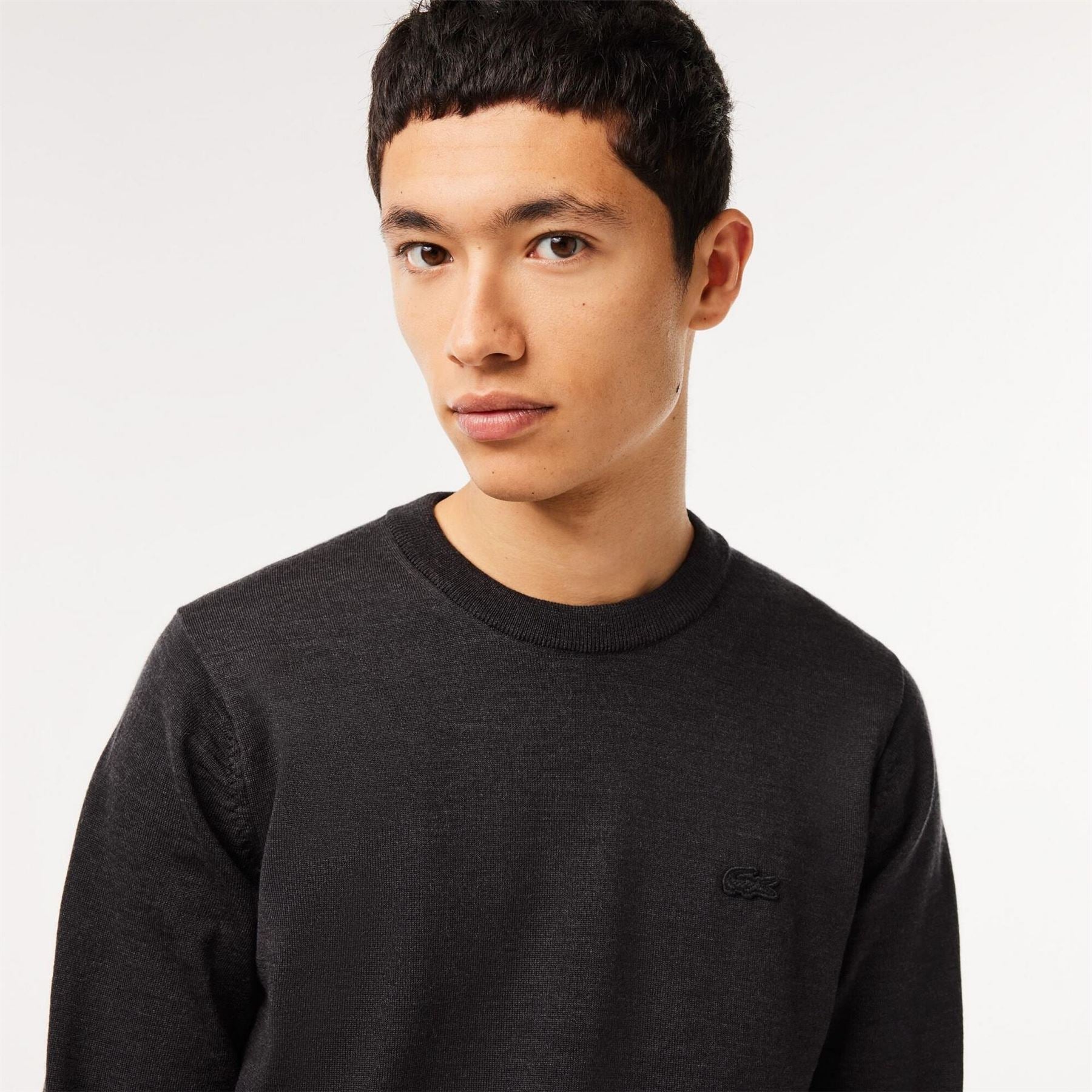 Lacoste Crew Neck Regular Fit Sweater