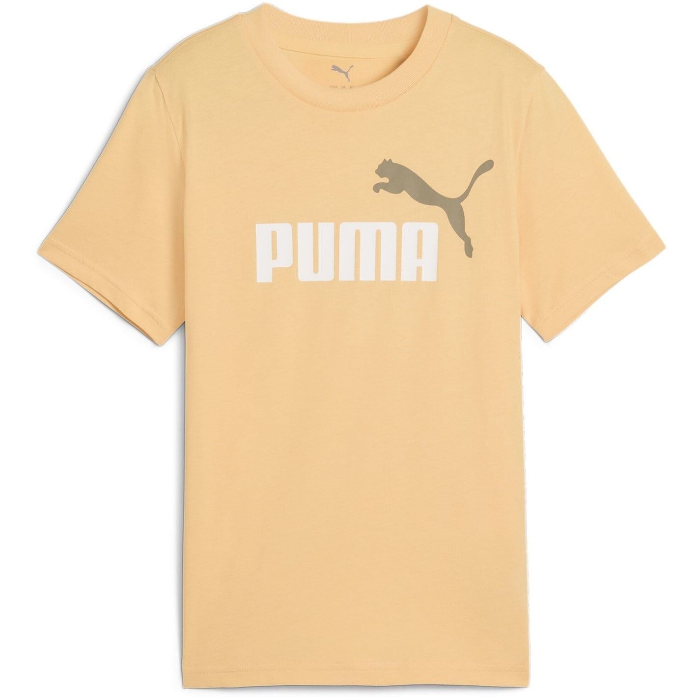 Puma Essentials Graphic Regular Fit T Shirt