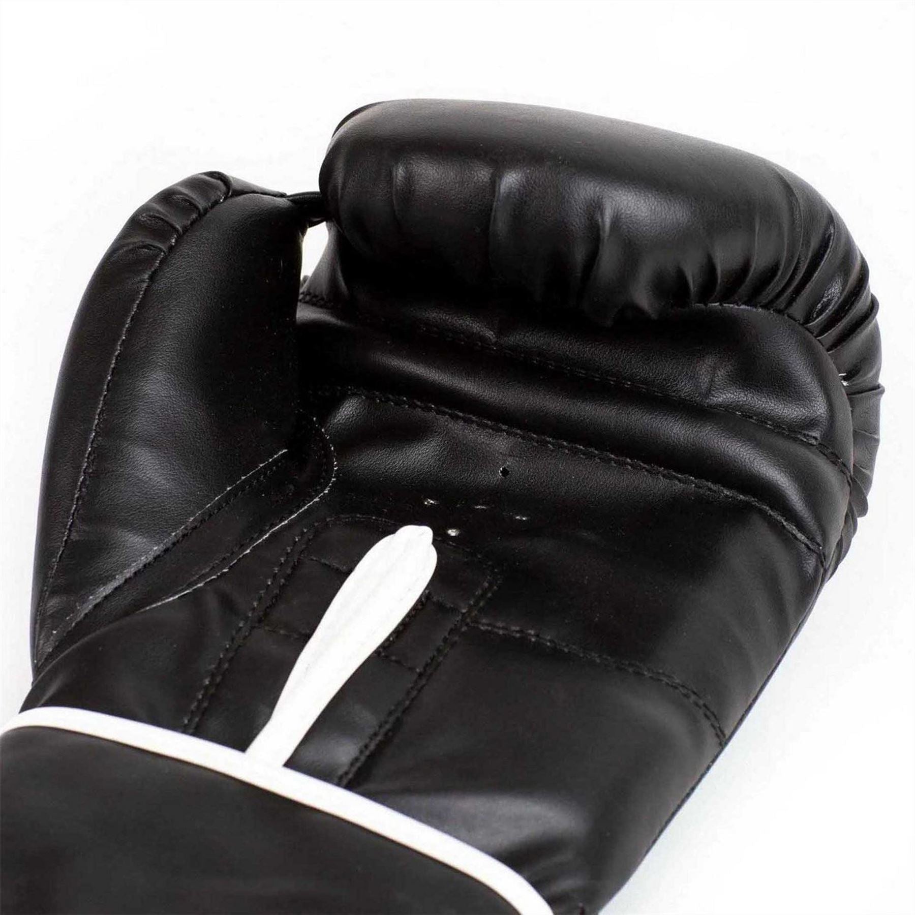 Everlast Core2 Boxing Glove