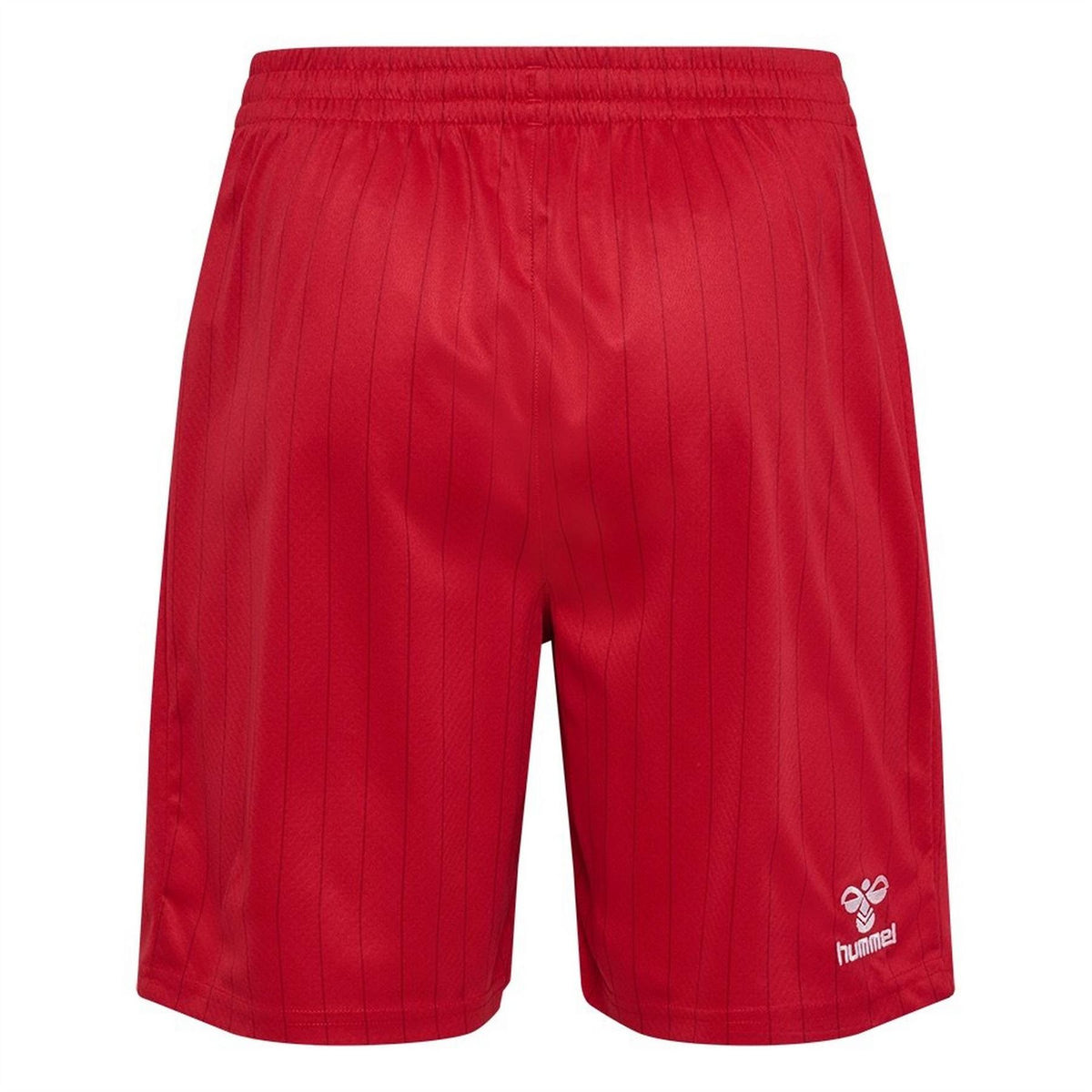 Hummel Denmark International Football Shorts