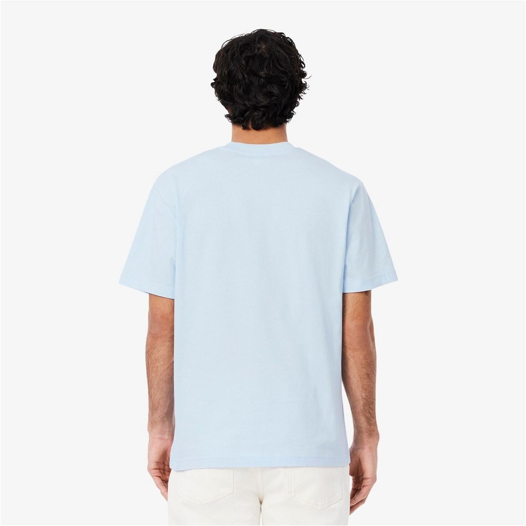 Lacoste Regular Fit Small Logo T-Shirt