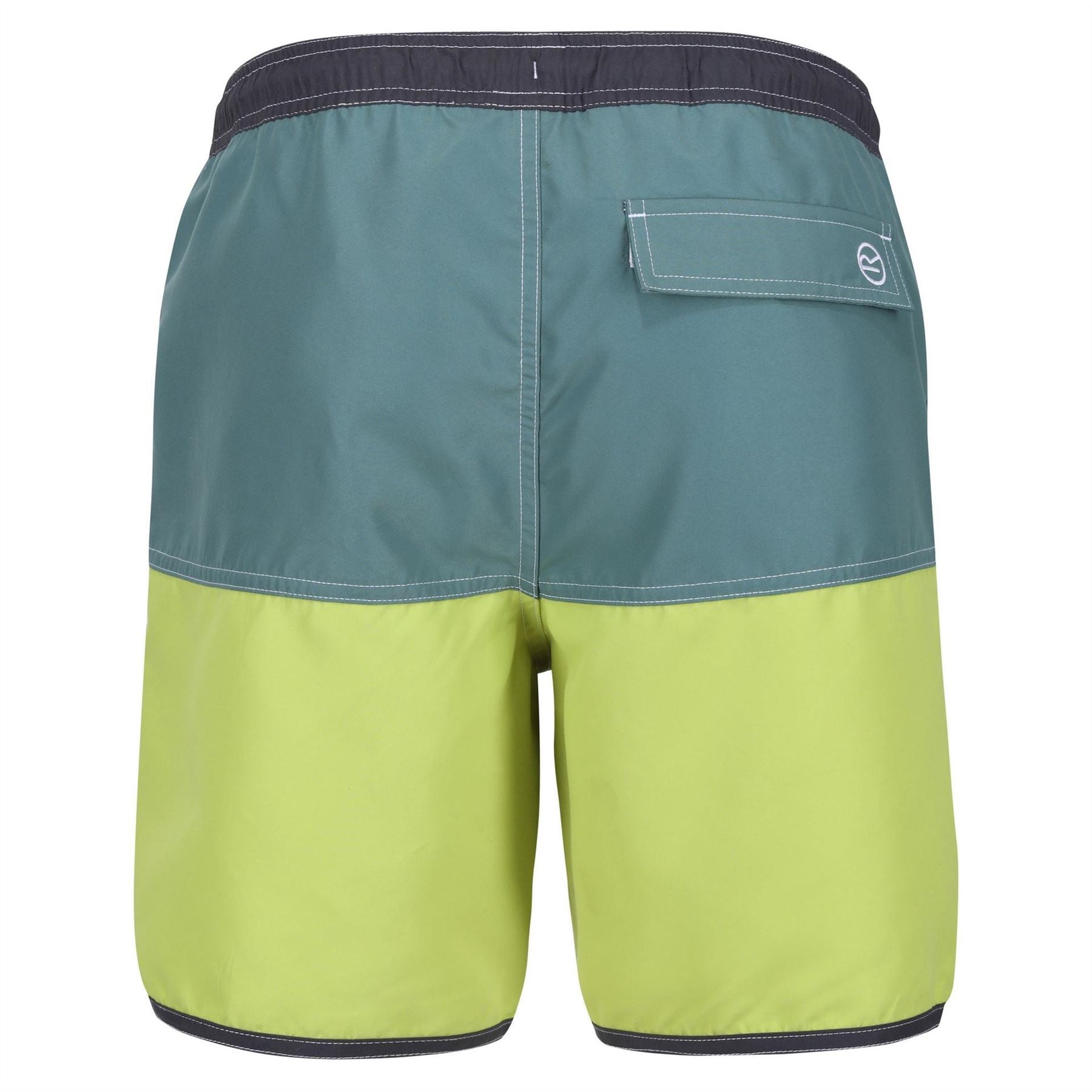 Regatta Benicio Color Block Swim Trunk