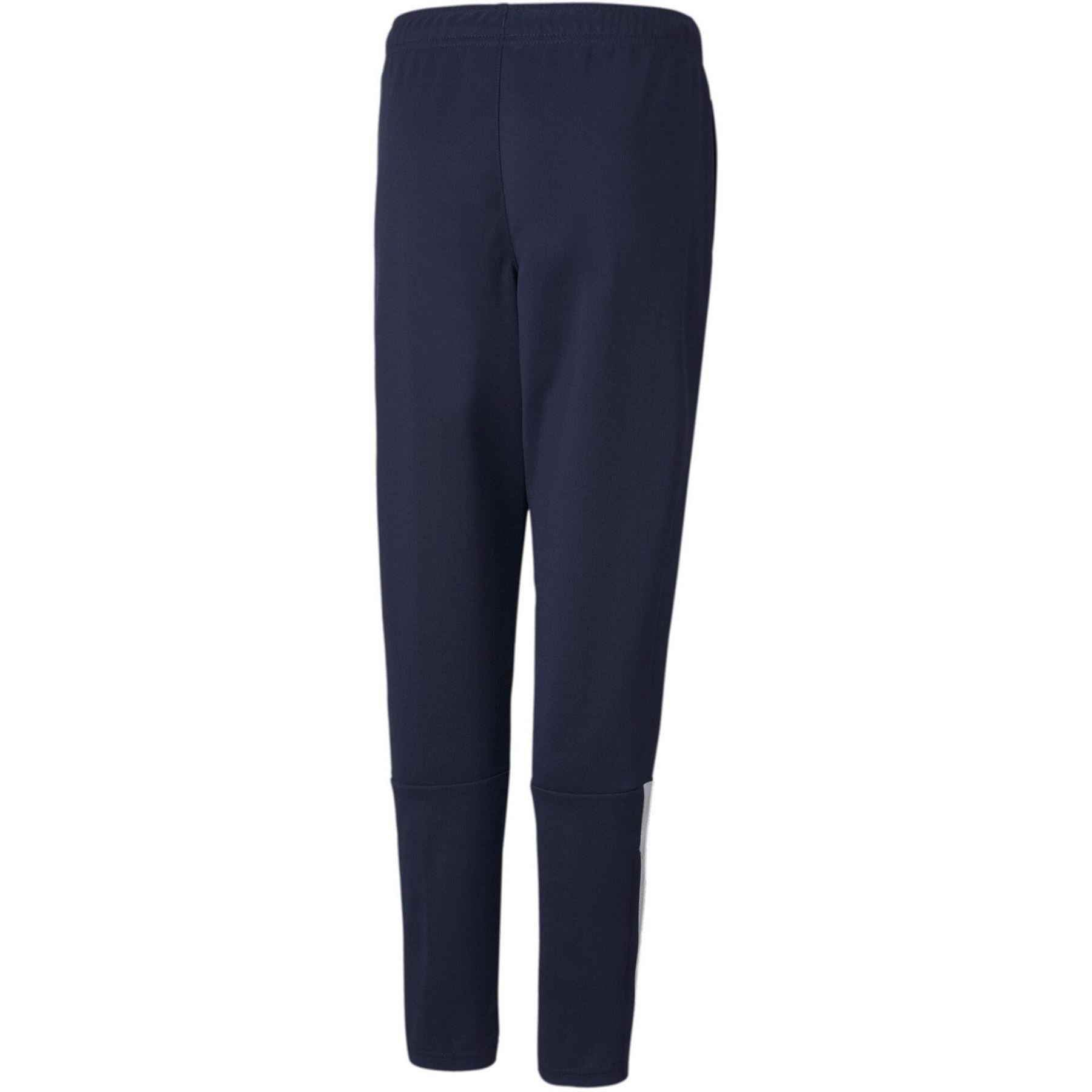 Puma Teamliga Training Pants Jr Tracksuit Bottom Unisex Kids