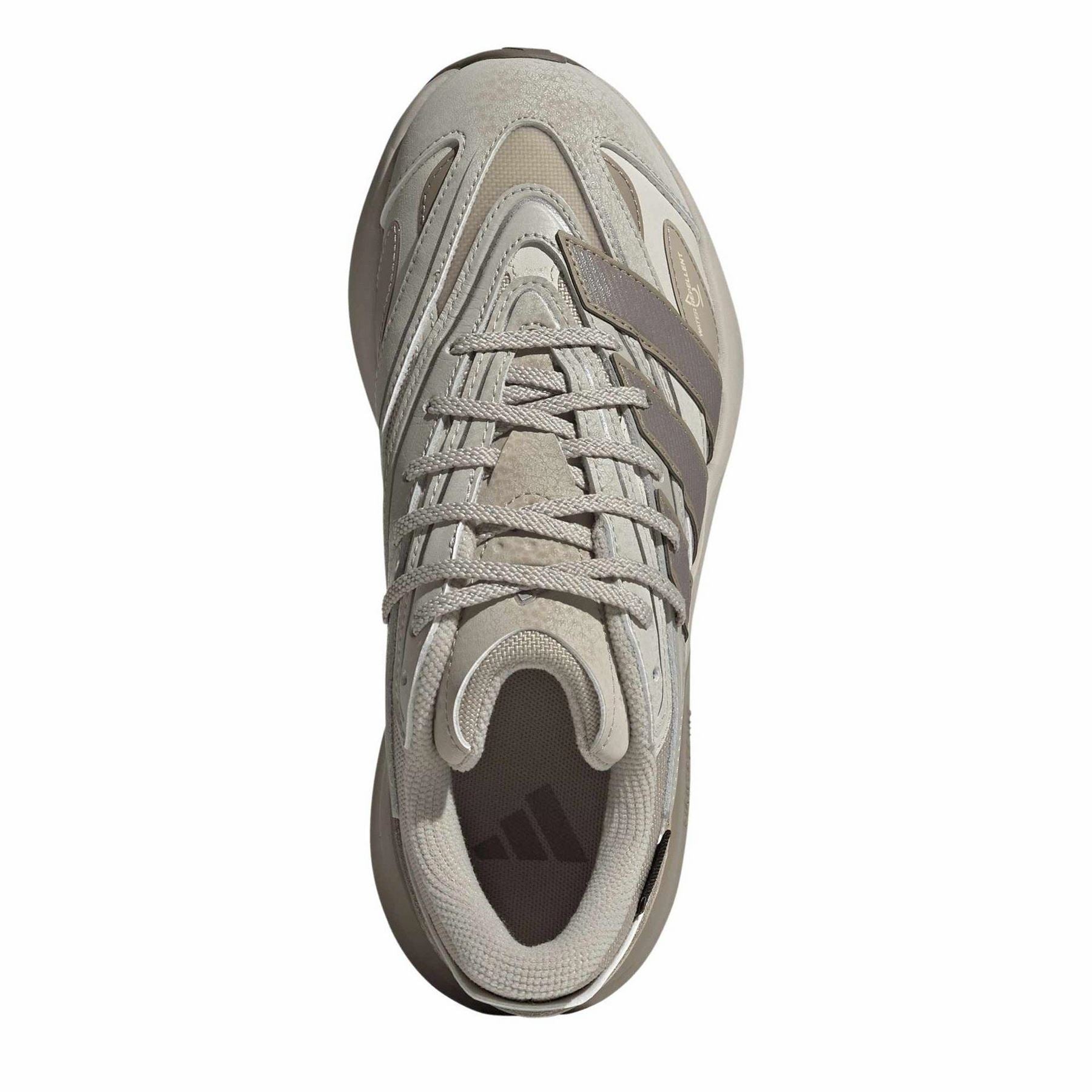 adidas Lightblaze Trail Running Shoes