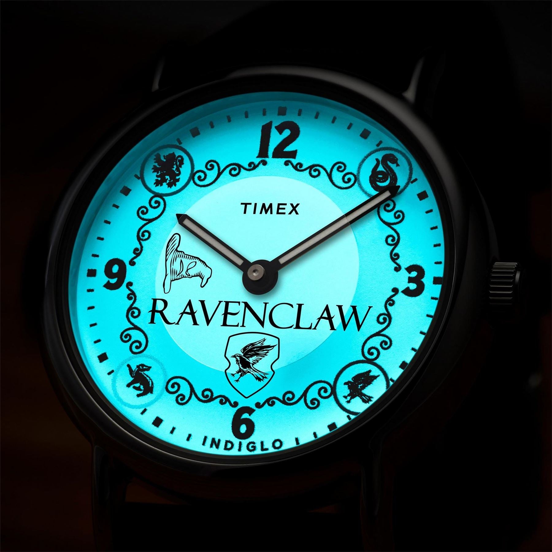 Timex Potter Quartz Analogue Watch