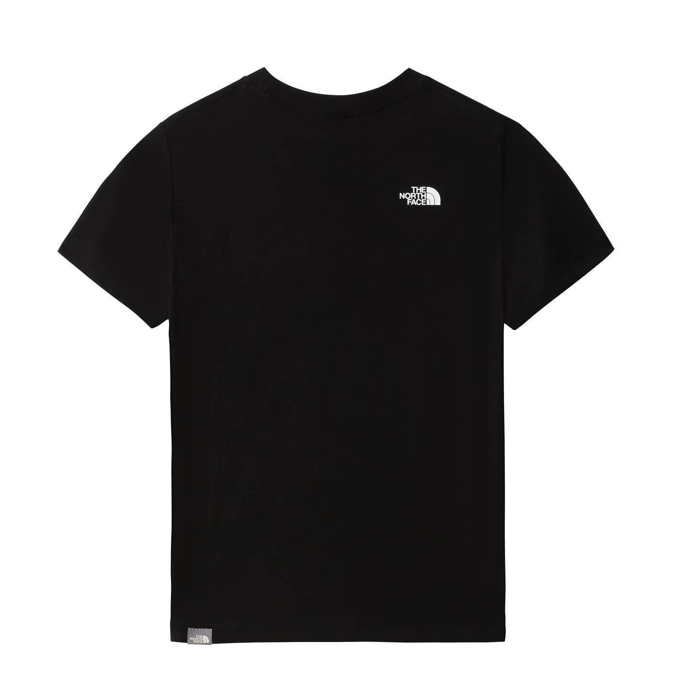 The North Face Logo T-Shirt