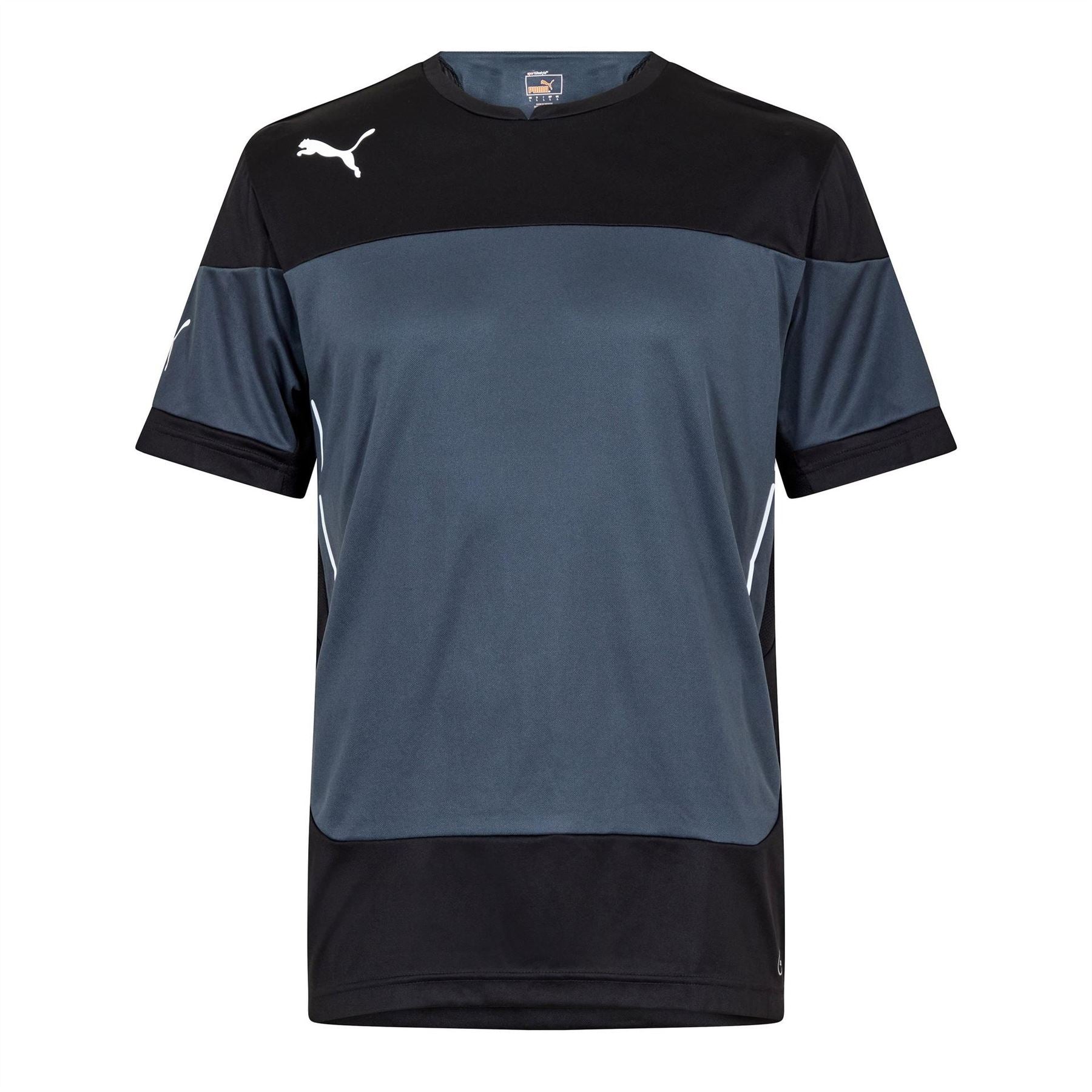 Puma Mens Indomitable Training Tee
