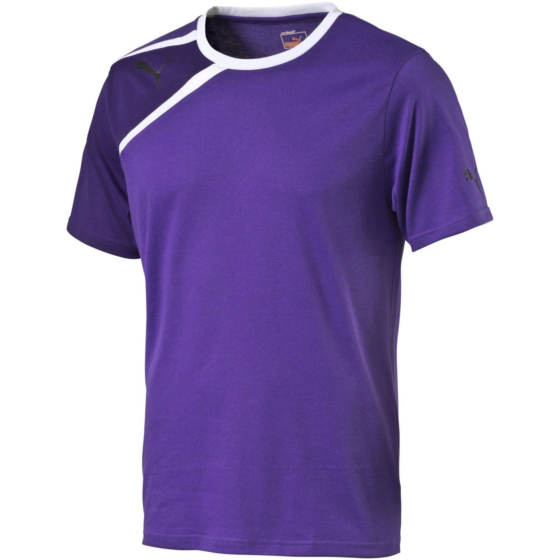 Puma Mens Spirit S S Tee Team