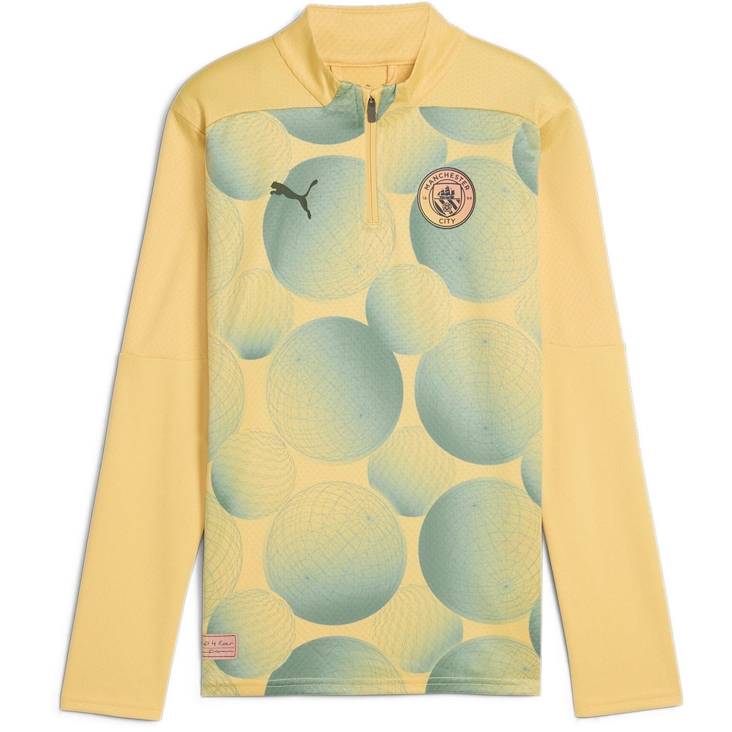 Puma Manchester City Fc Pre Match Quarter Zip Top 2024 2025 Juniors
