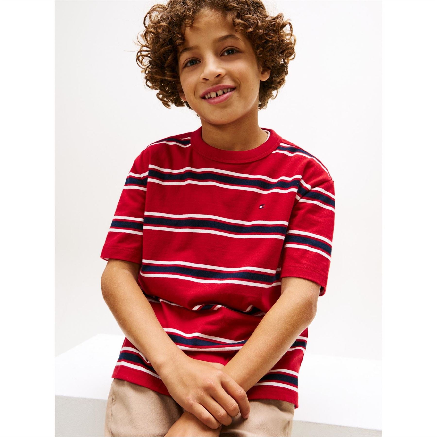 Tommy Hilfiger Stripe Regular Fit T-Shirt