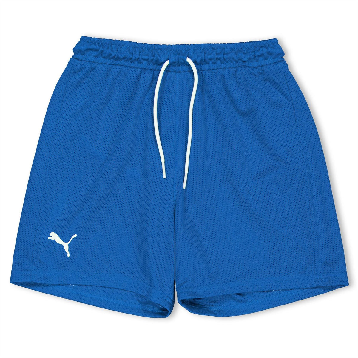Puma Hoops Team Junior Practice Basketball Shorts