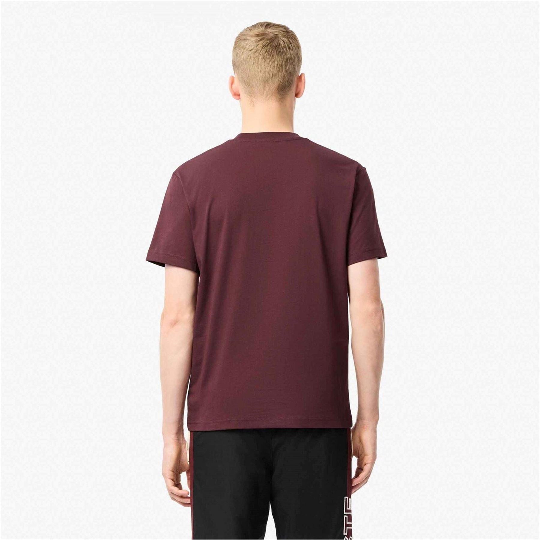 Lacoste Regular Fit Small Logo T-Shirt