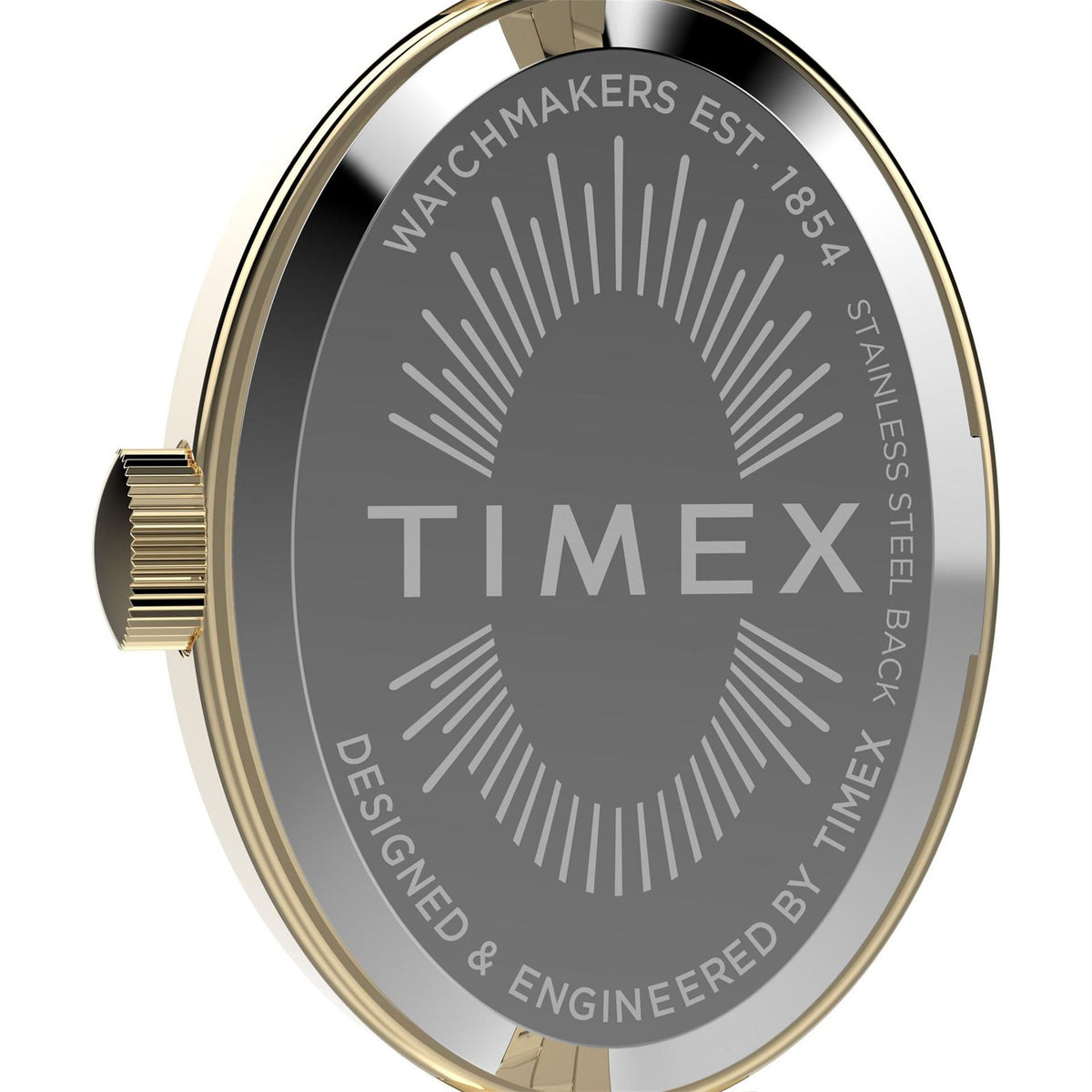 Timex Oval Trend Watch