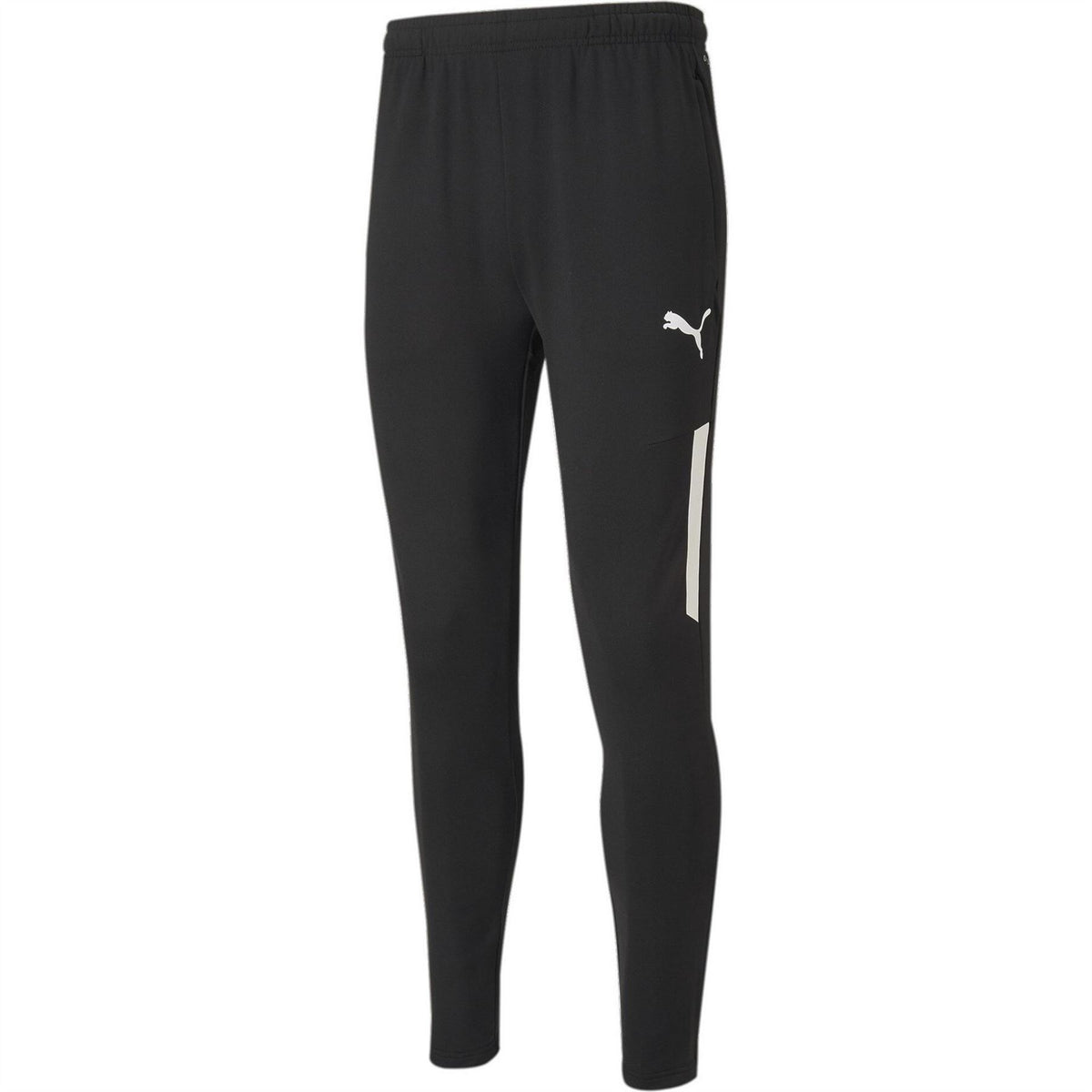 Puma Mens Teamliga Training Pants Pro Tracksuit Bottom