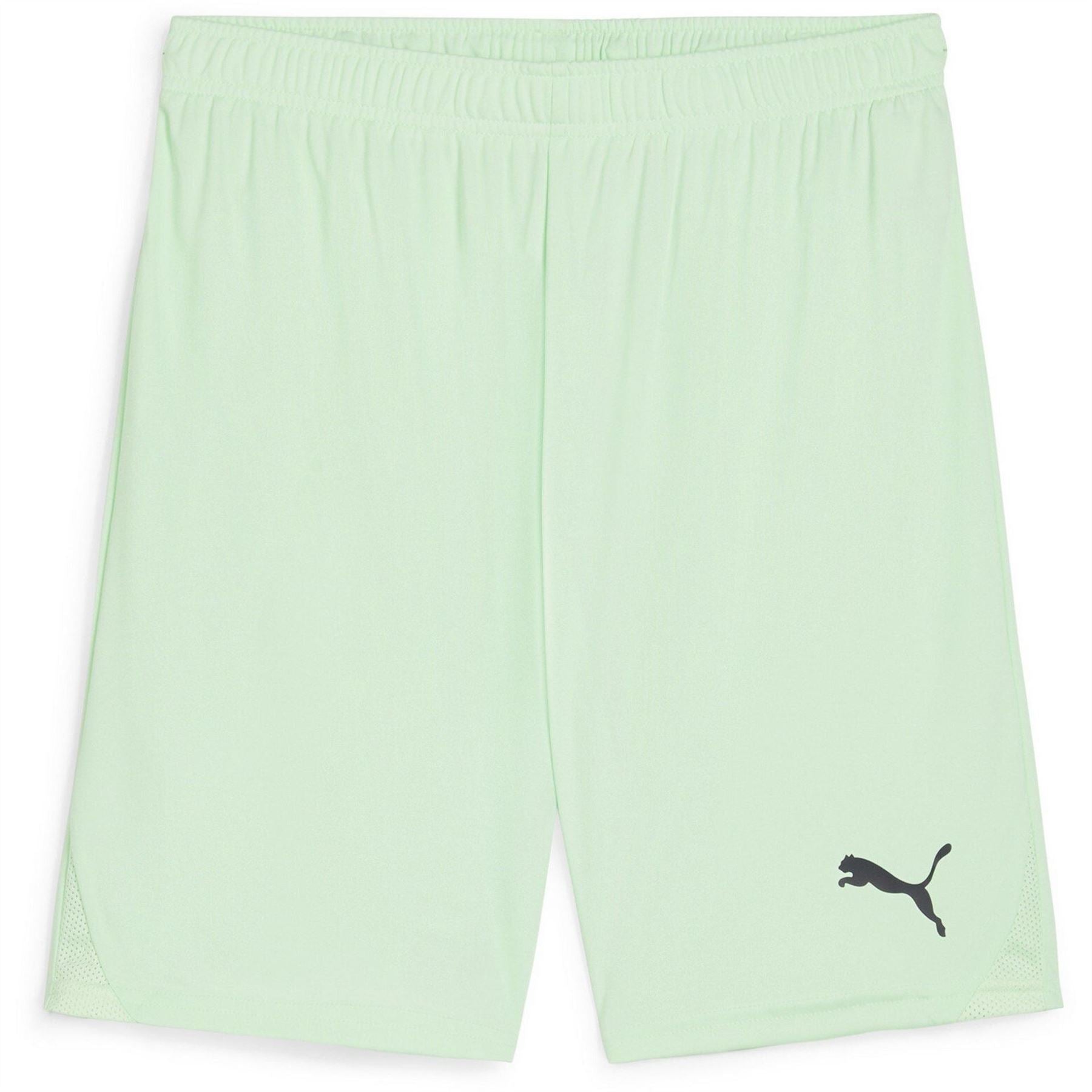 Puma Mens Teamgoal Shorts Football Shorts