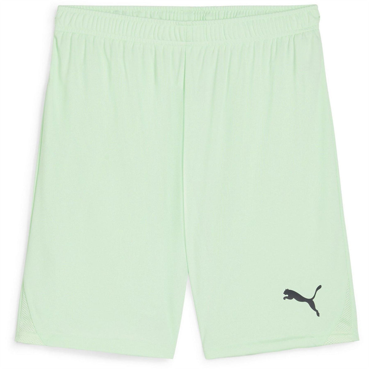 Puma Mens Teamgoal Shorts Football Shorts
