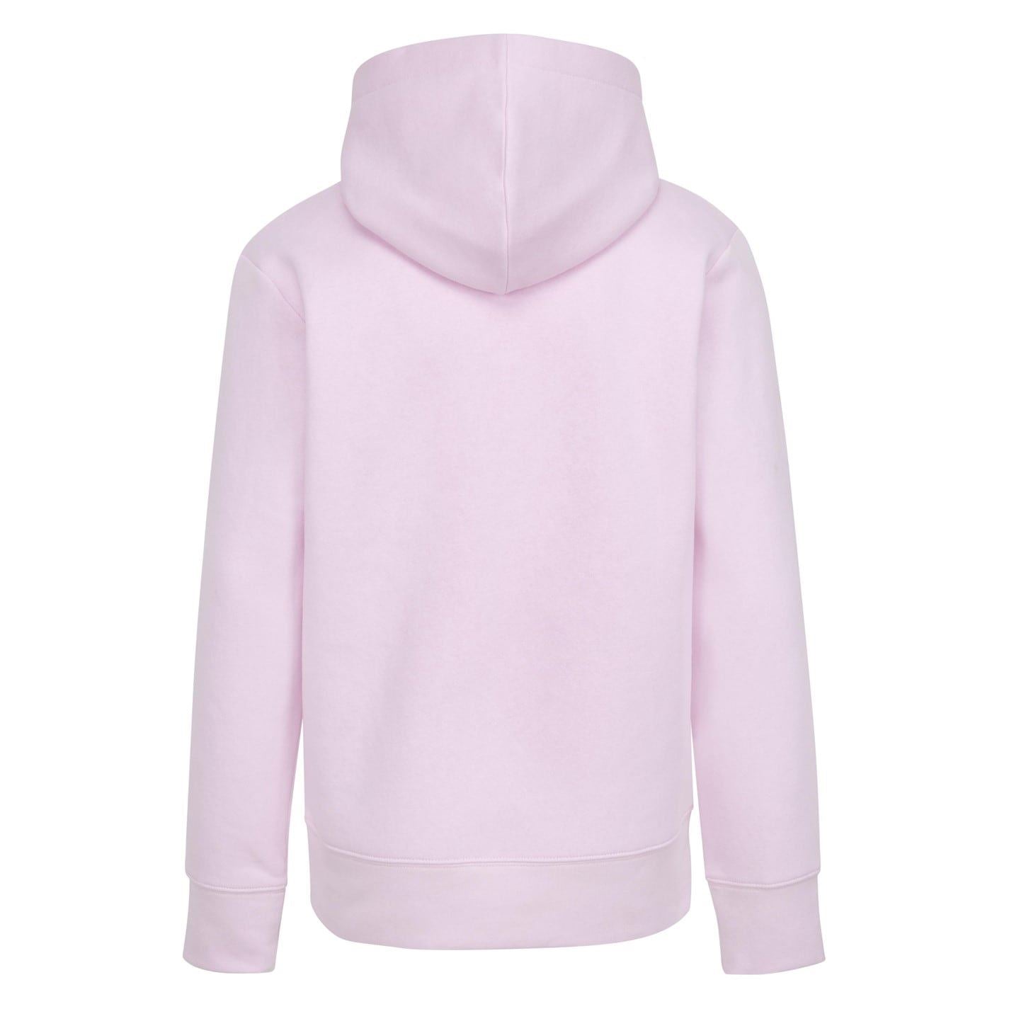 Air Jordan Hooded Regular Fit Sweatshirt