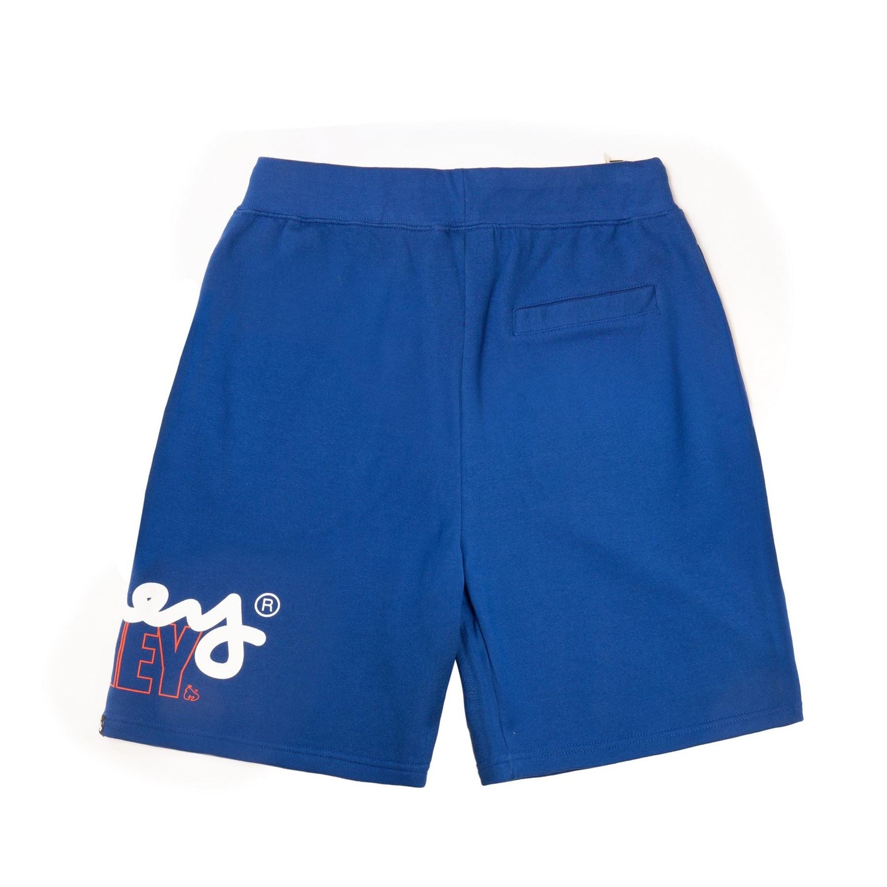 Money Stencil Shorts