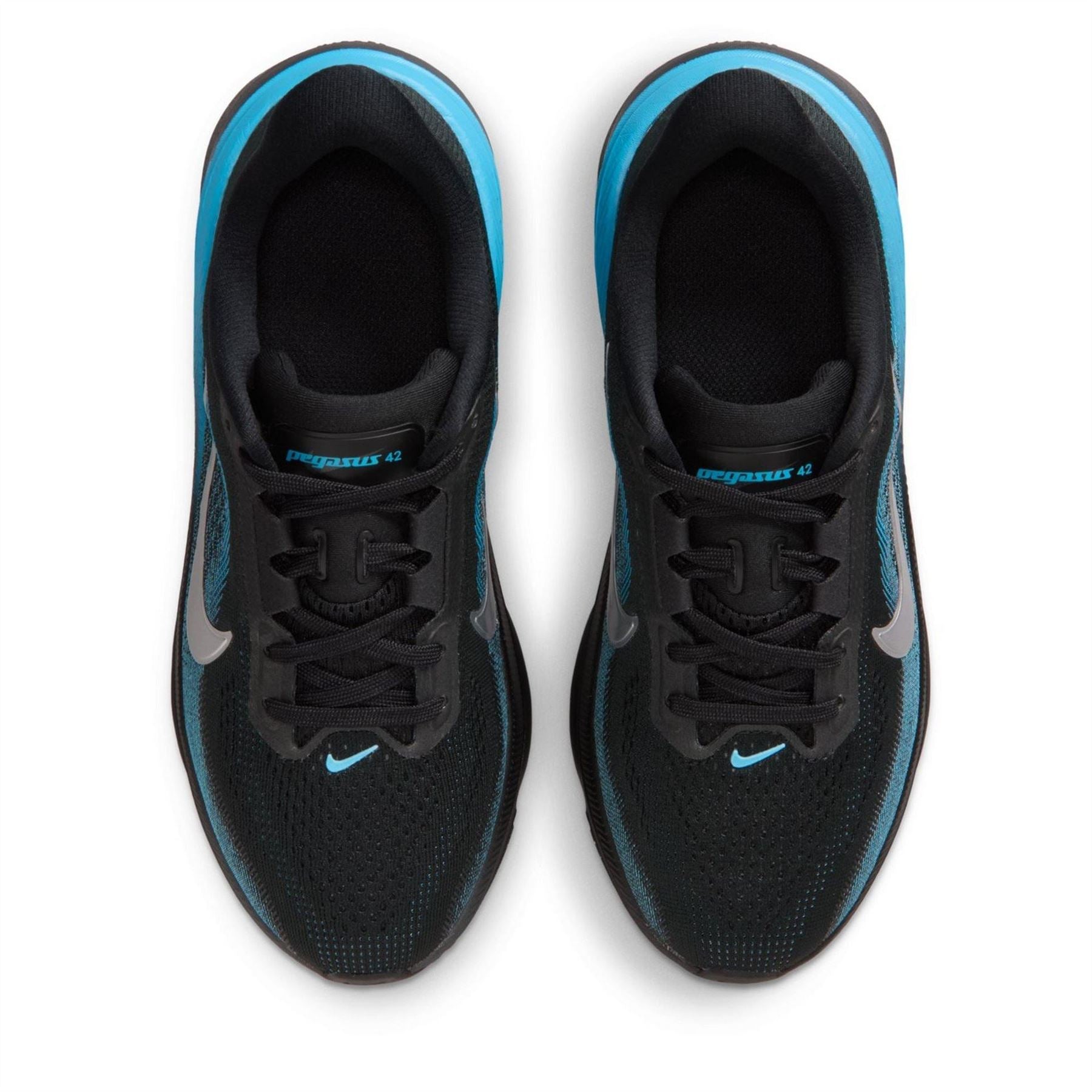 Nike Pegasus 42 Nn Ch71