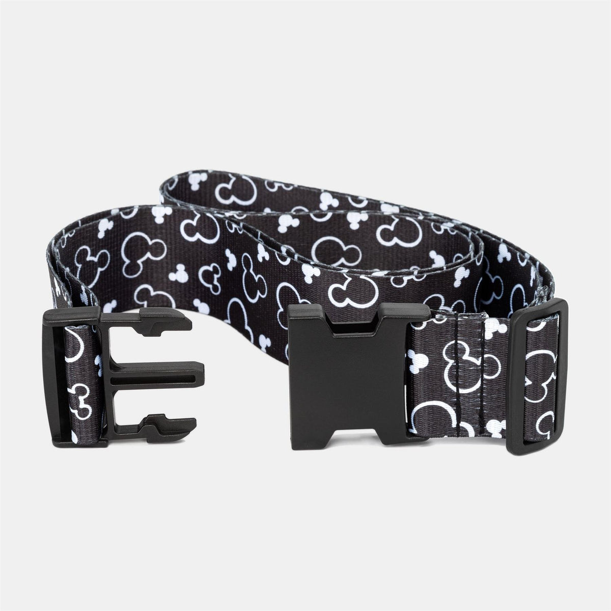 Character Belt