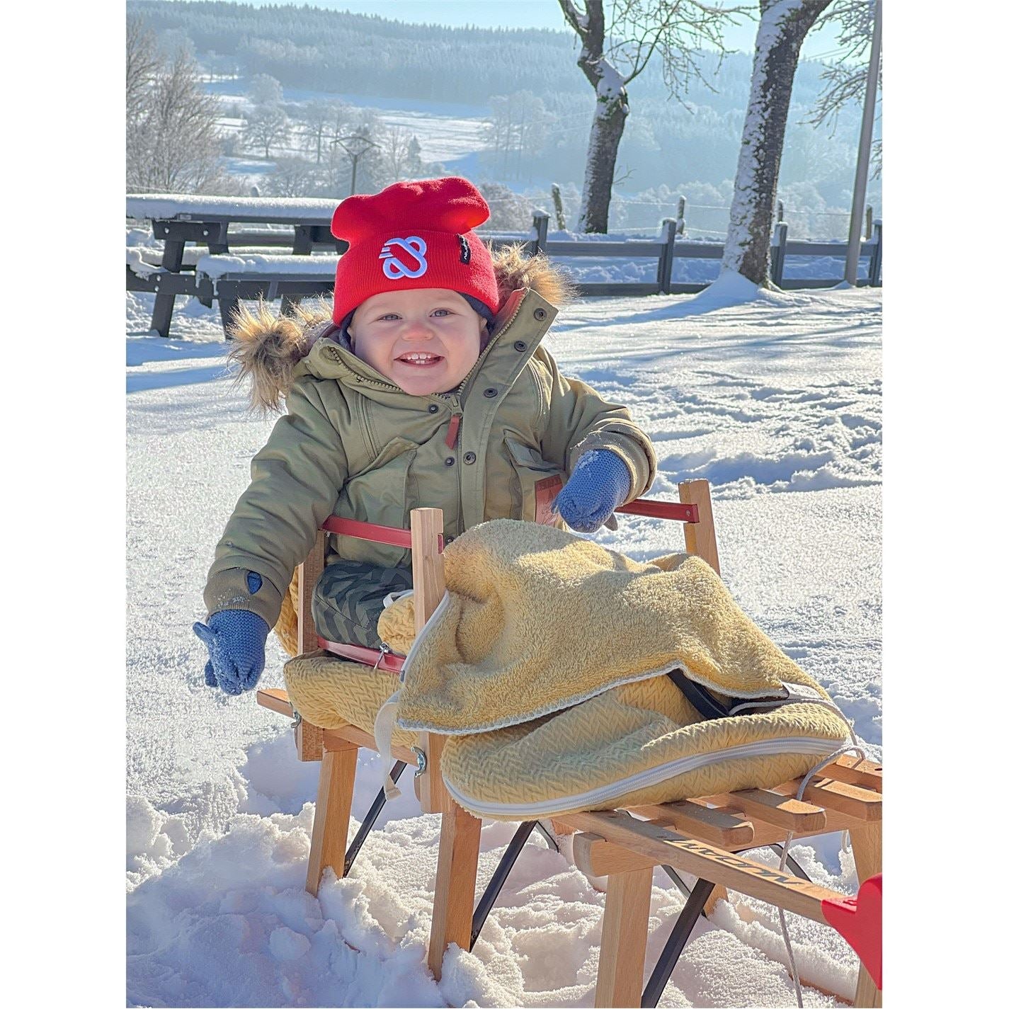 Nijdam Backrest For Wooden Sledge