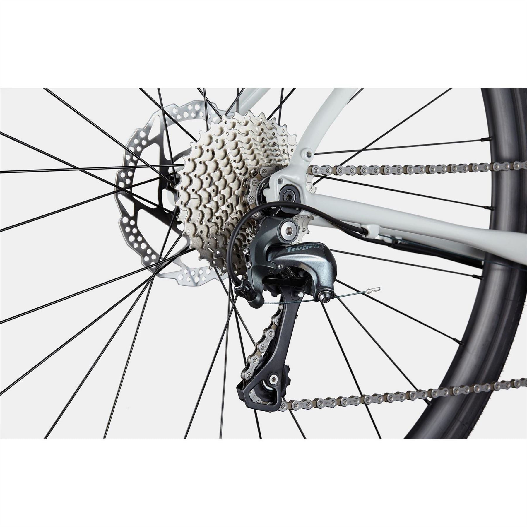 Cannondale 2 2024 Road Bike