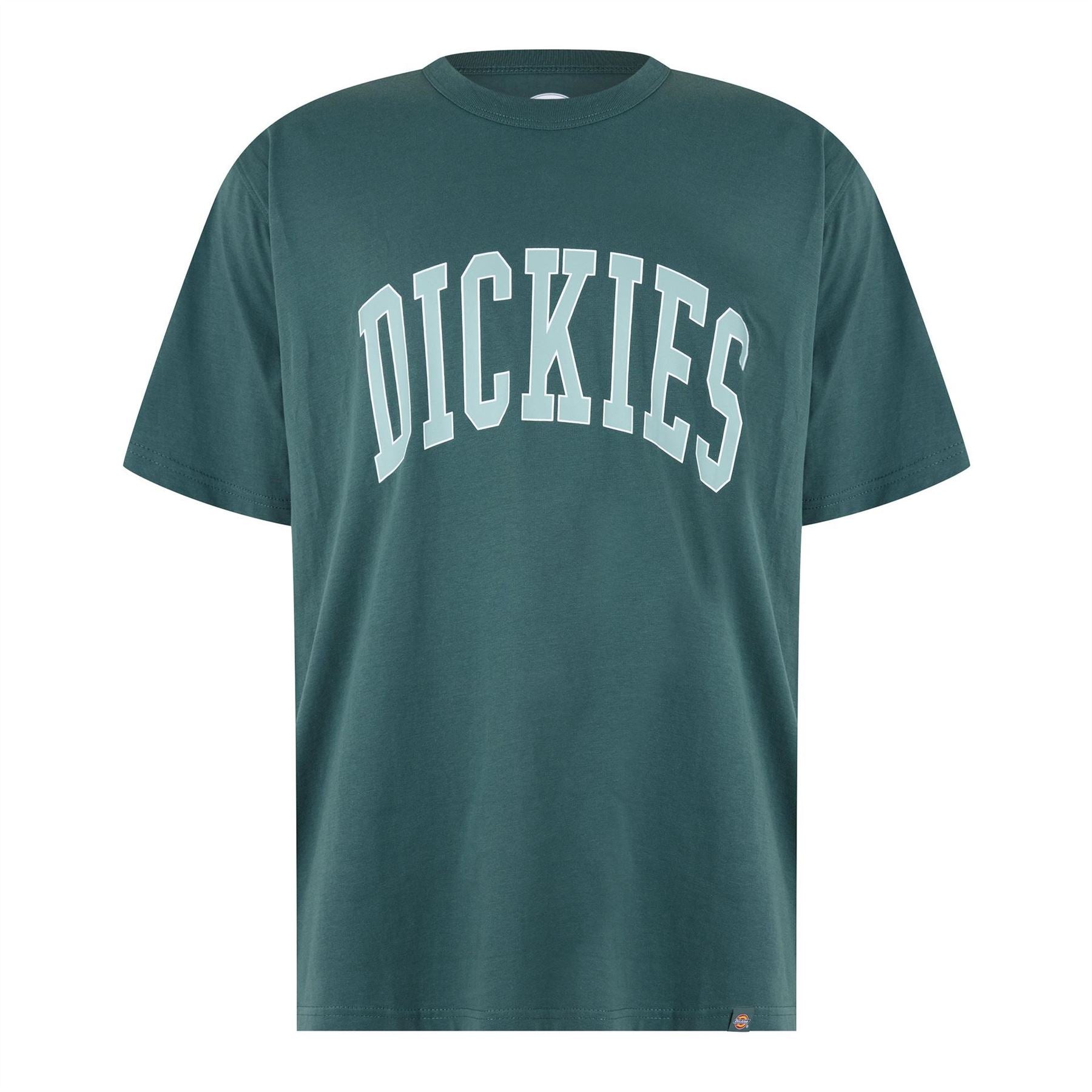 Dickies Aitkin Tee
