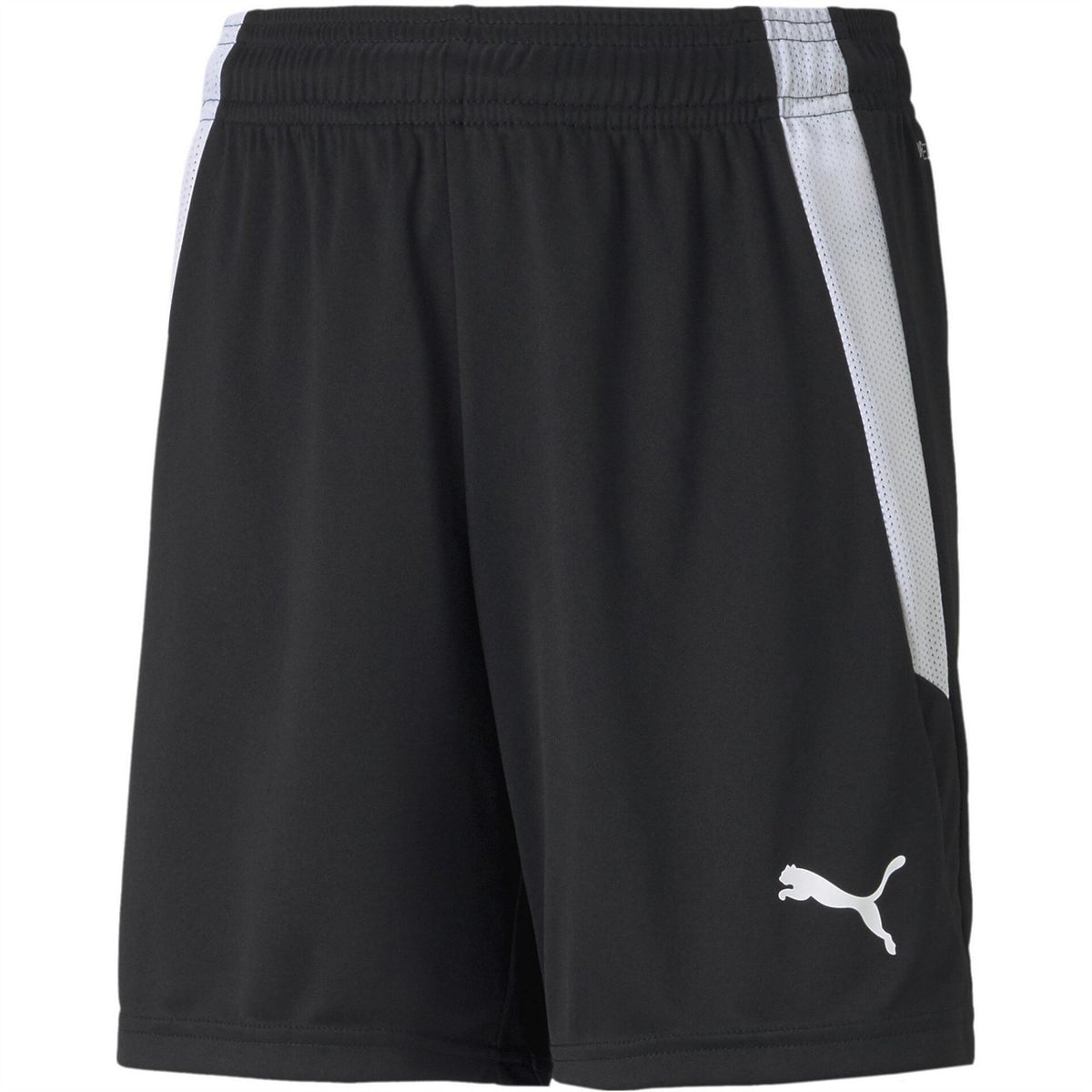 Puma Teamliga Shorts Jr Football Short Unisex Kids