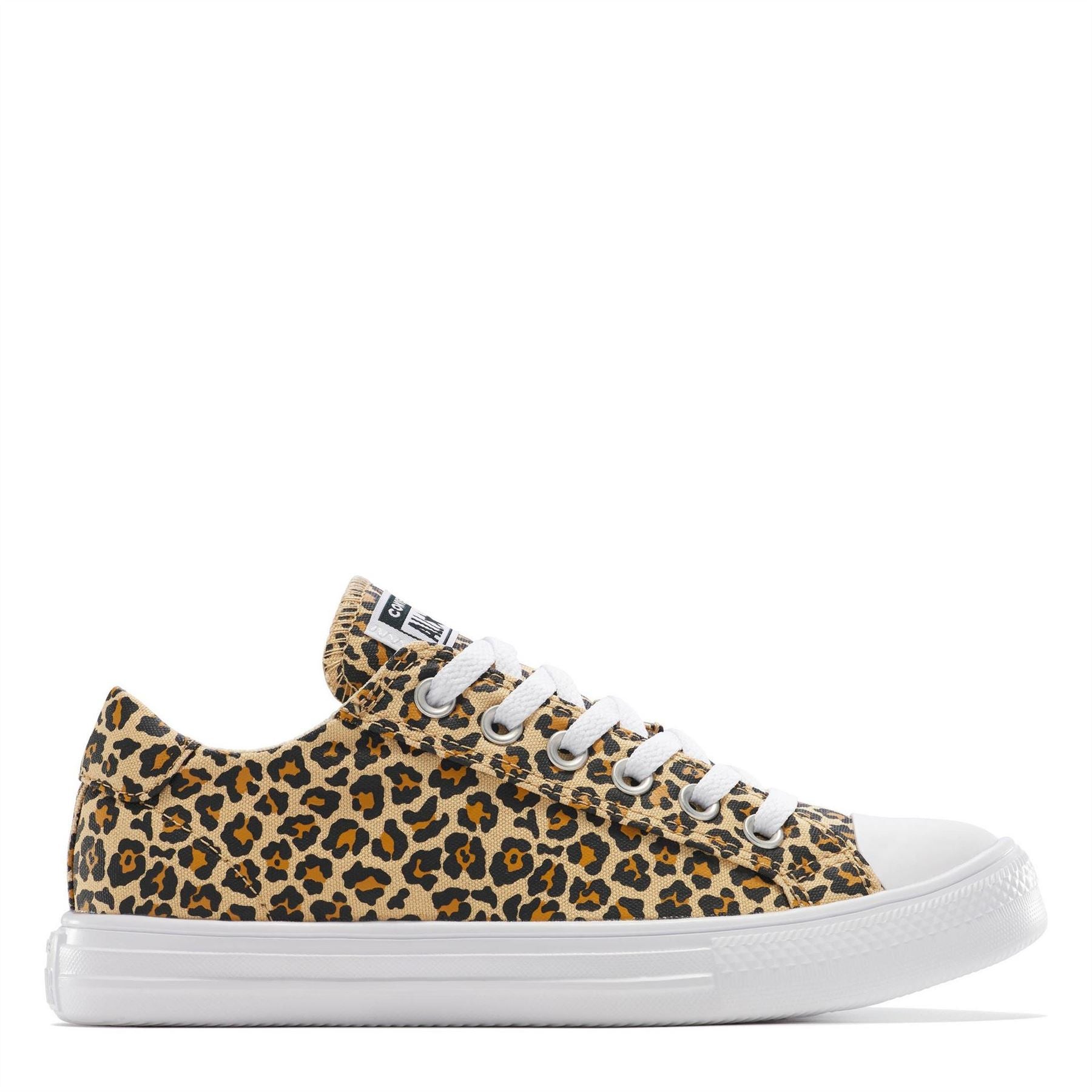 Converse Canvasas Trainers