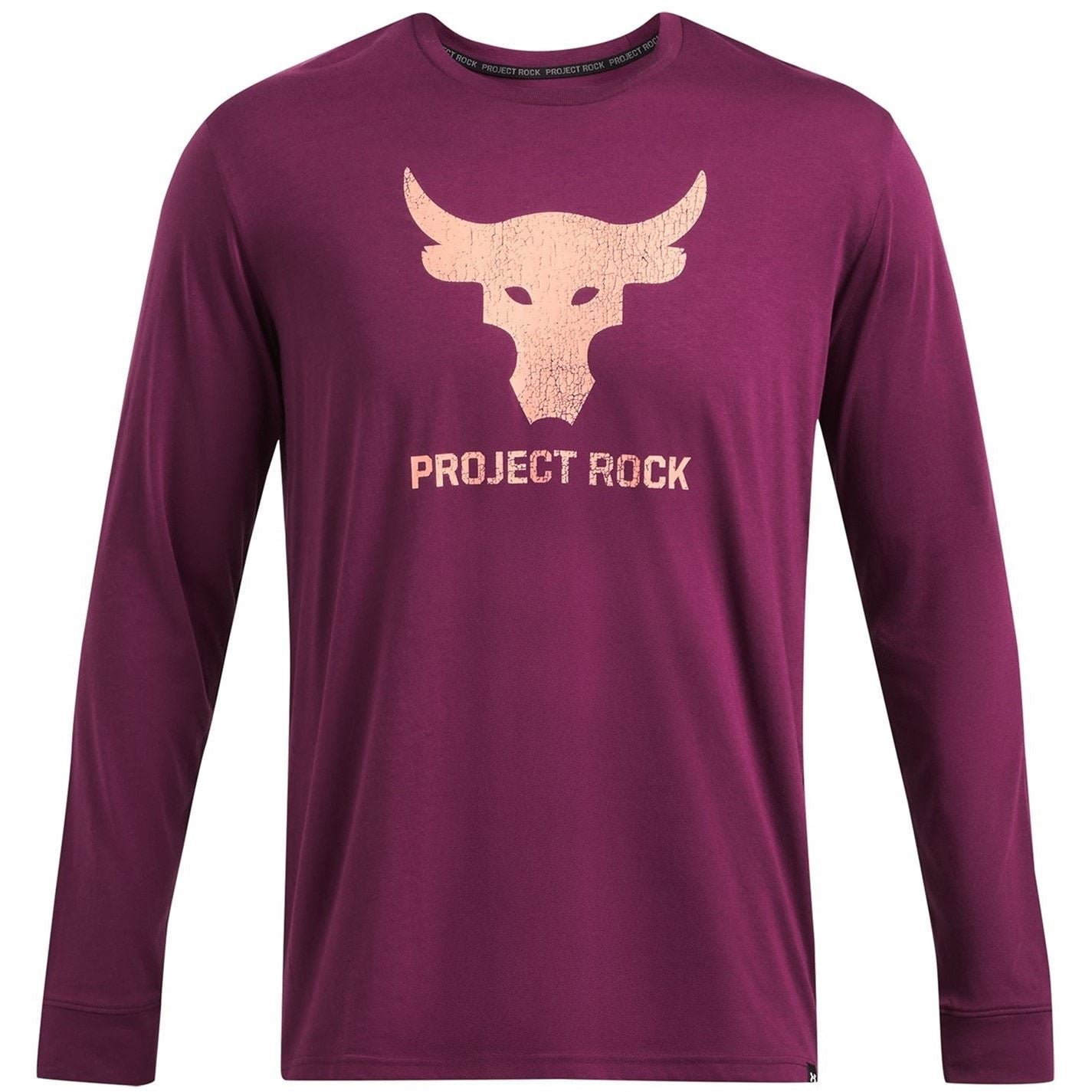 Under Armour Mens Armour Pr Brahma Long Sleeve T-Shirt