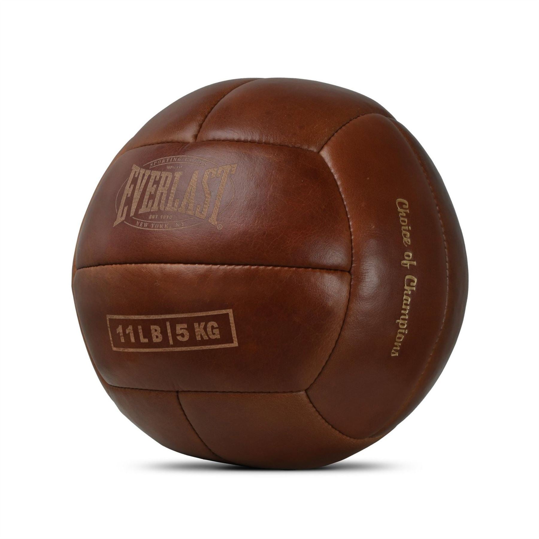 Everlast 1910 Pro Leather Medicine Ball