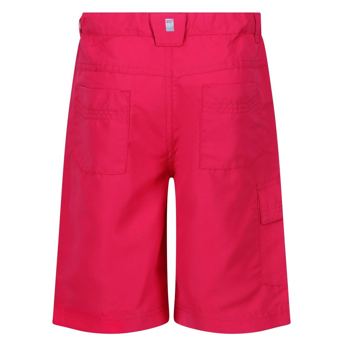 Regatta Sorcer Ii Walking Shorts
