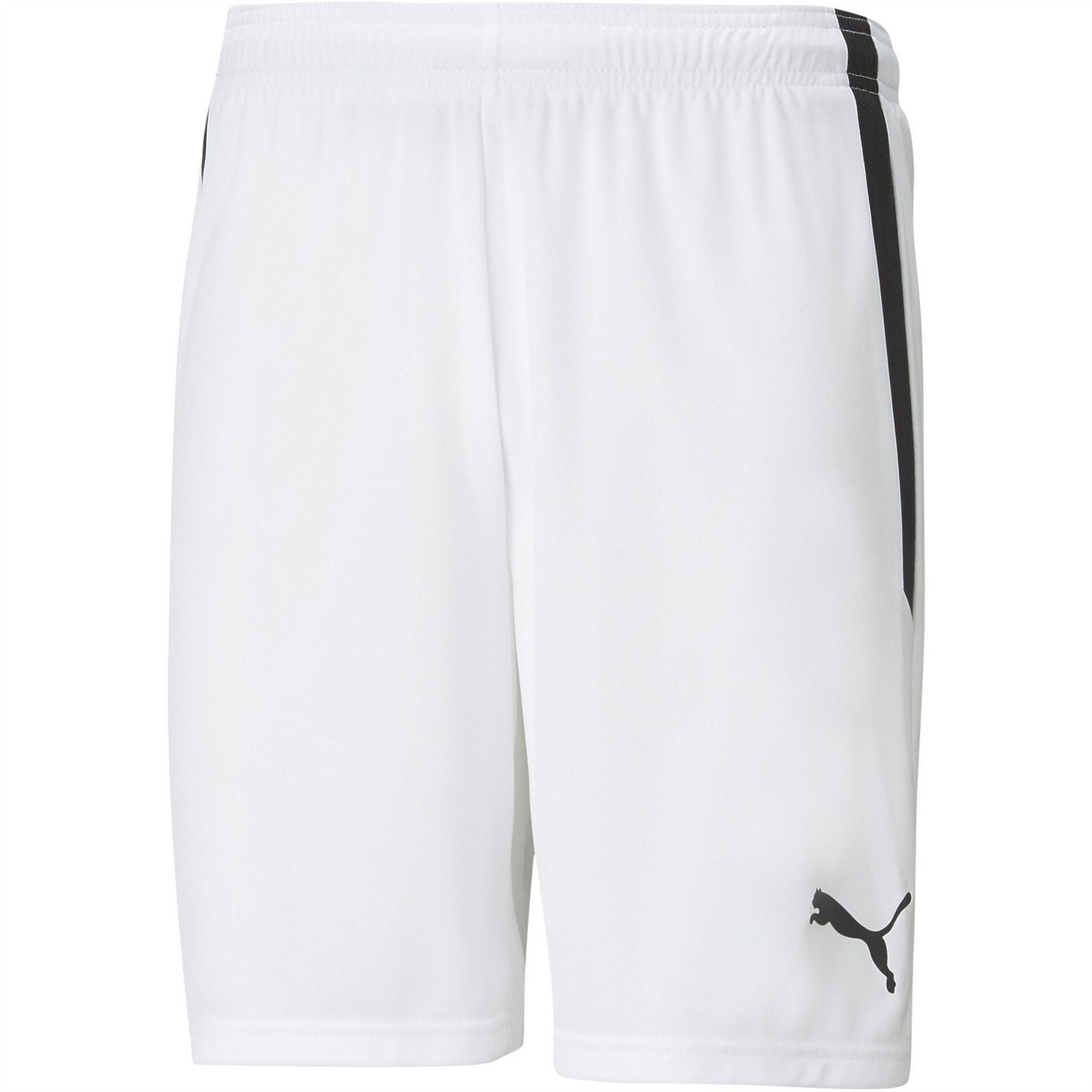 Puma Mens Teamliga Shorts Football Shorts