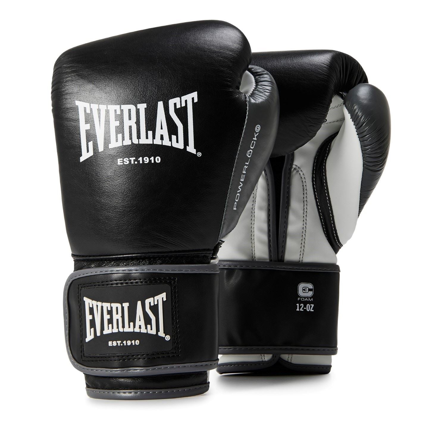 Everlast Powerlock Og Advanced Training Glove Hook  And  Loop