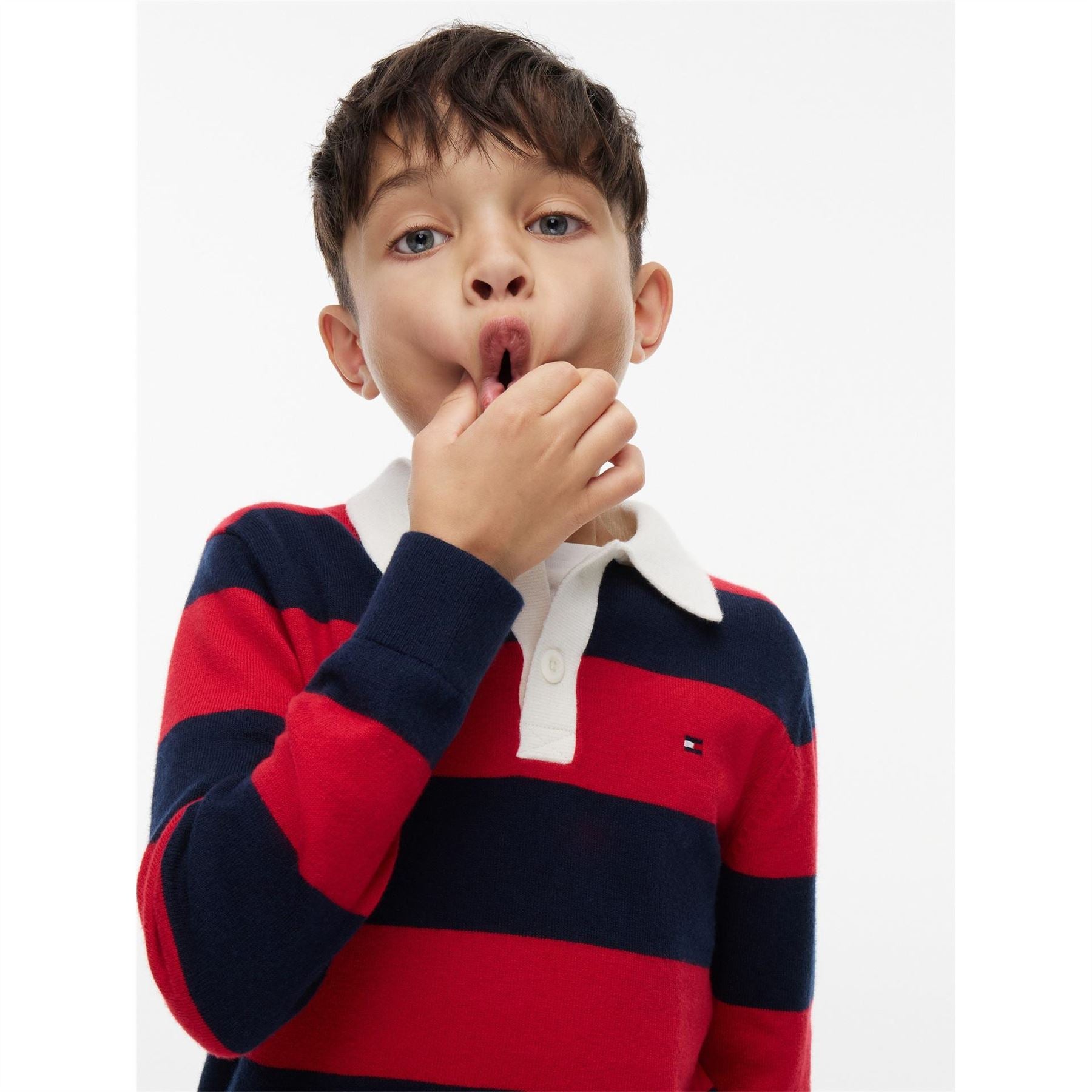 Tommy Hilfiger Knitted Polo L Jn64