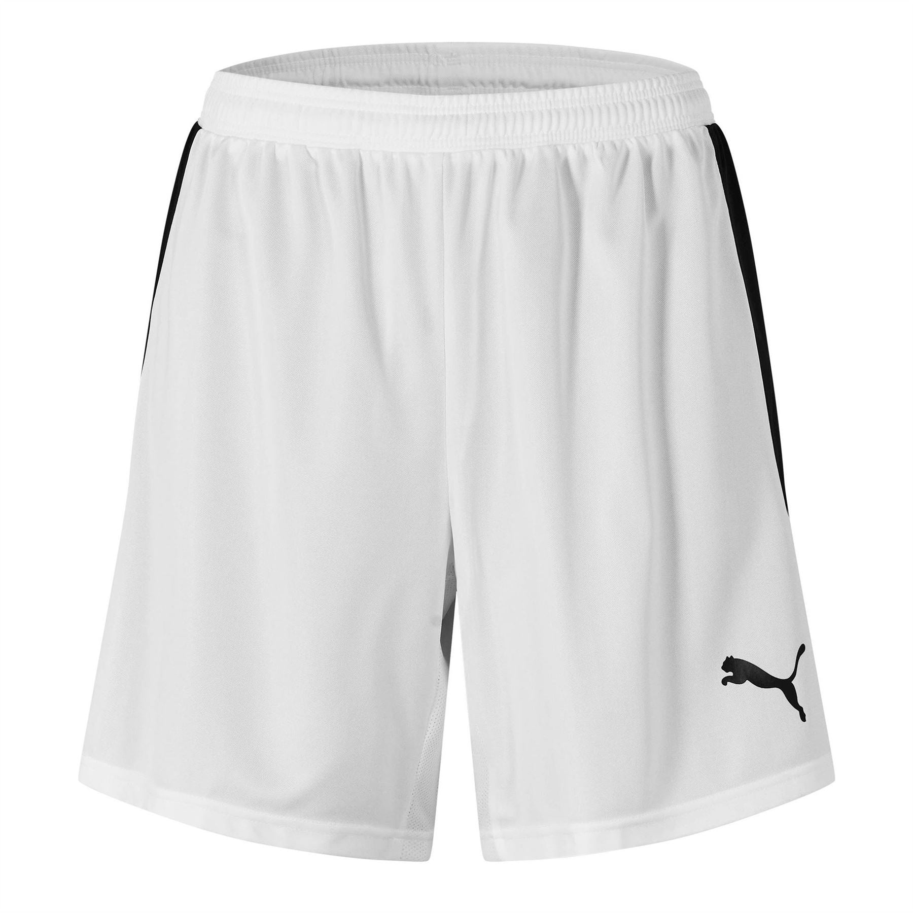 Puma Mens Evospeed Indoor Shorts