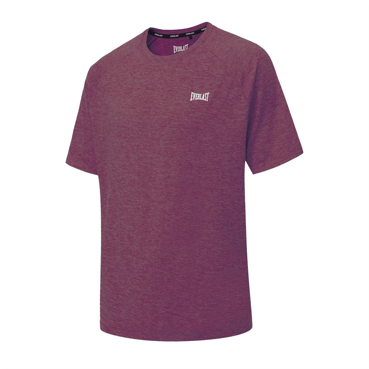 Everlast Flex Crew Neck Regular Fit T-Shirt