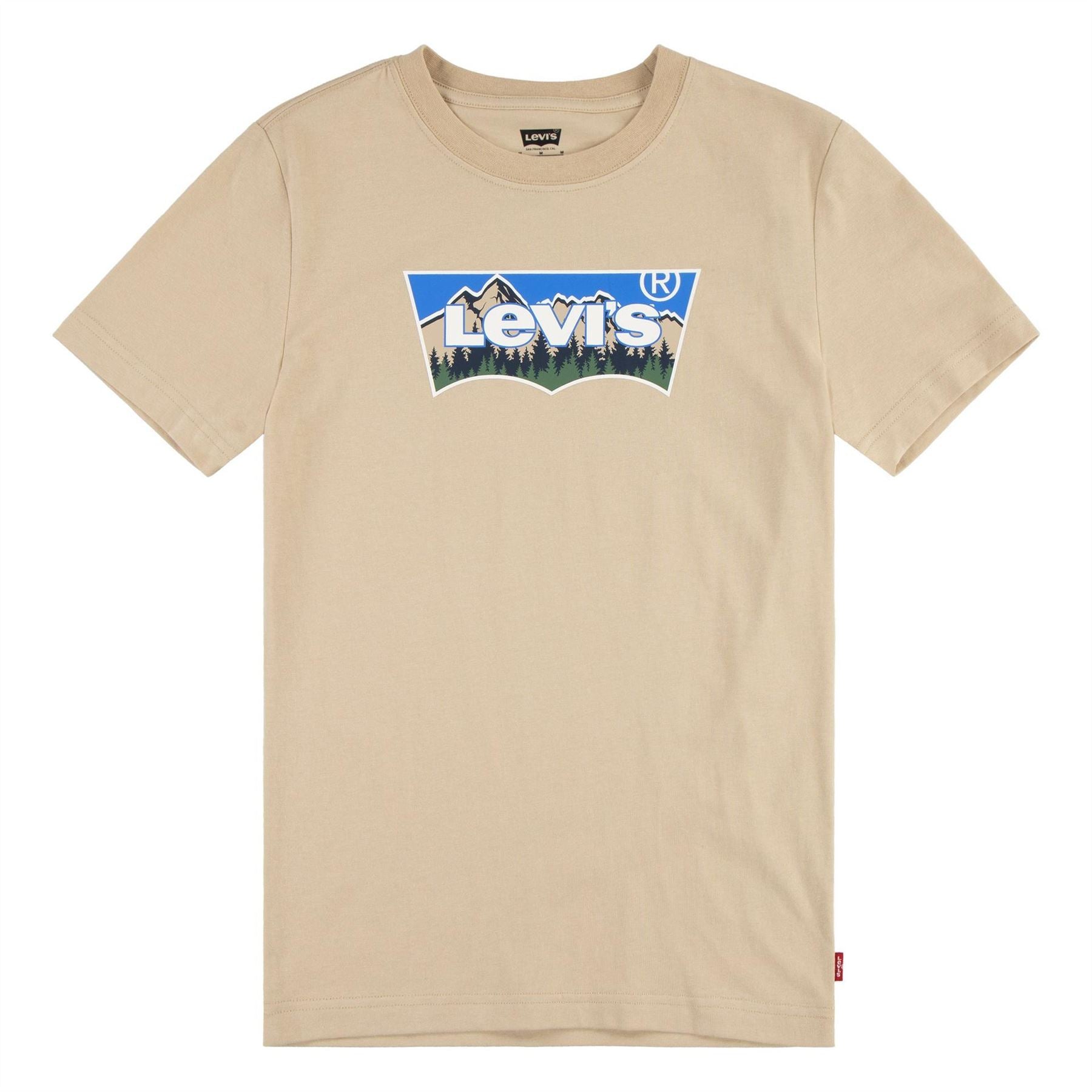 Levis Batwing Regular Fit Crew Neck T-Shirt