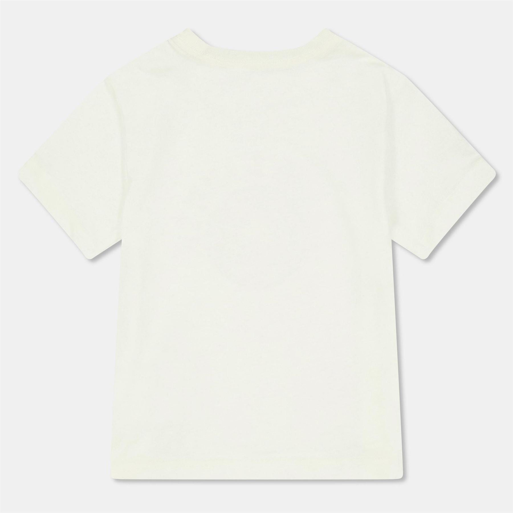 Polo Ralph Lauren Regular Fit Lettering Crew Neck T-Shirt