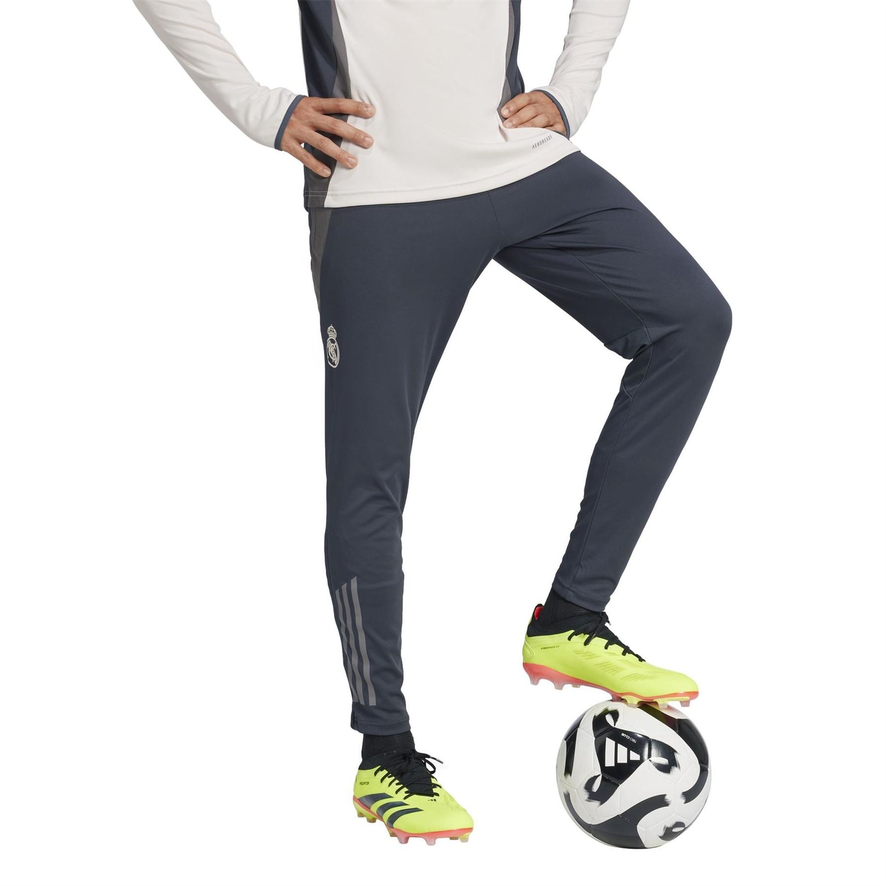 adidas Mens Eu Tr Pnt Tracksuit Bottom