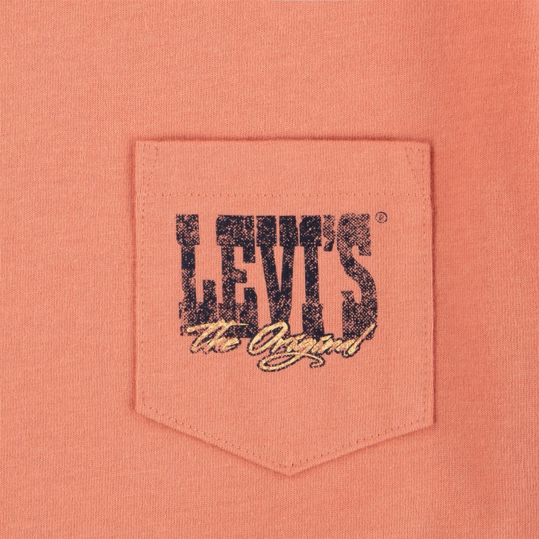 Levis Landscape Crew Neck Short Sleeve T-Shirt