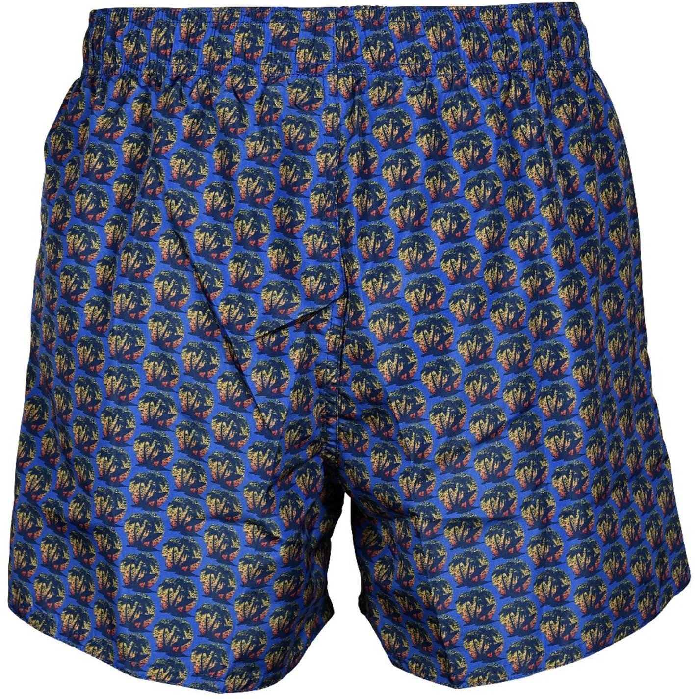 Arena Beach Shorts Allover